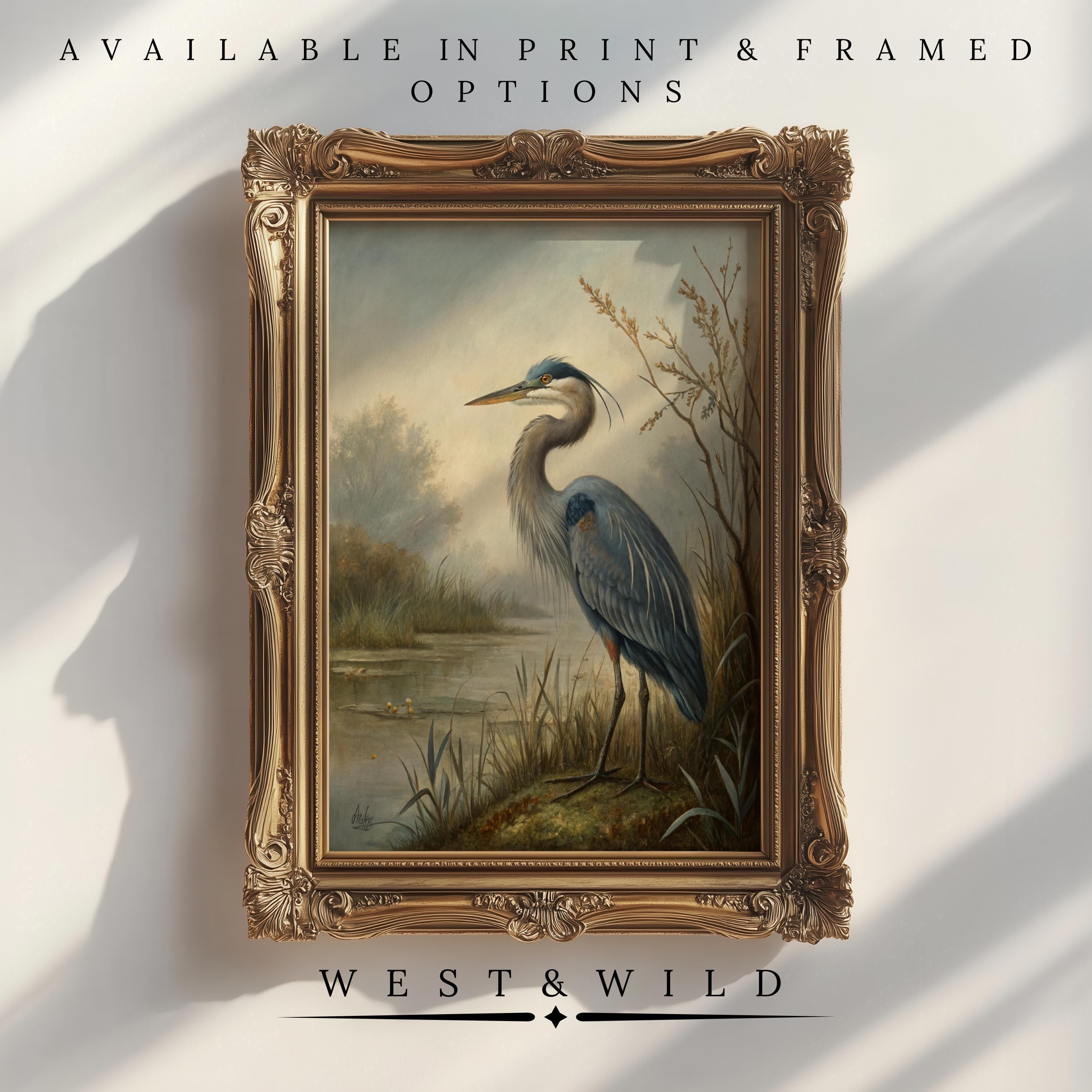 Great blue heron standing in misty wetland with reeds — framed art print
