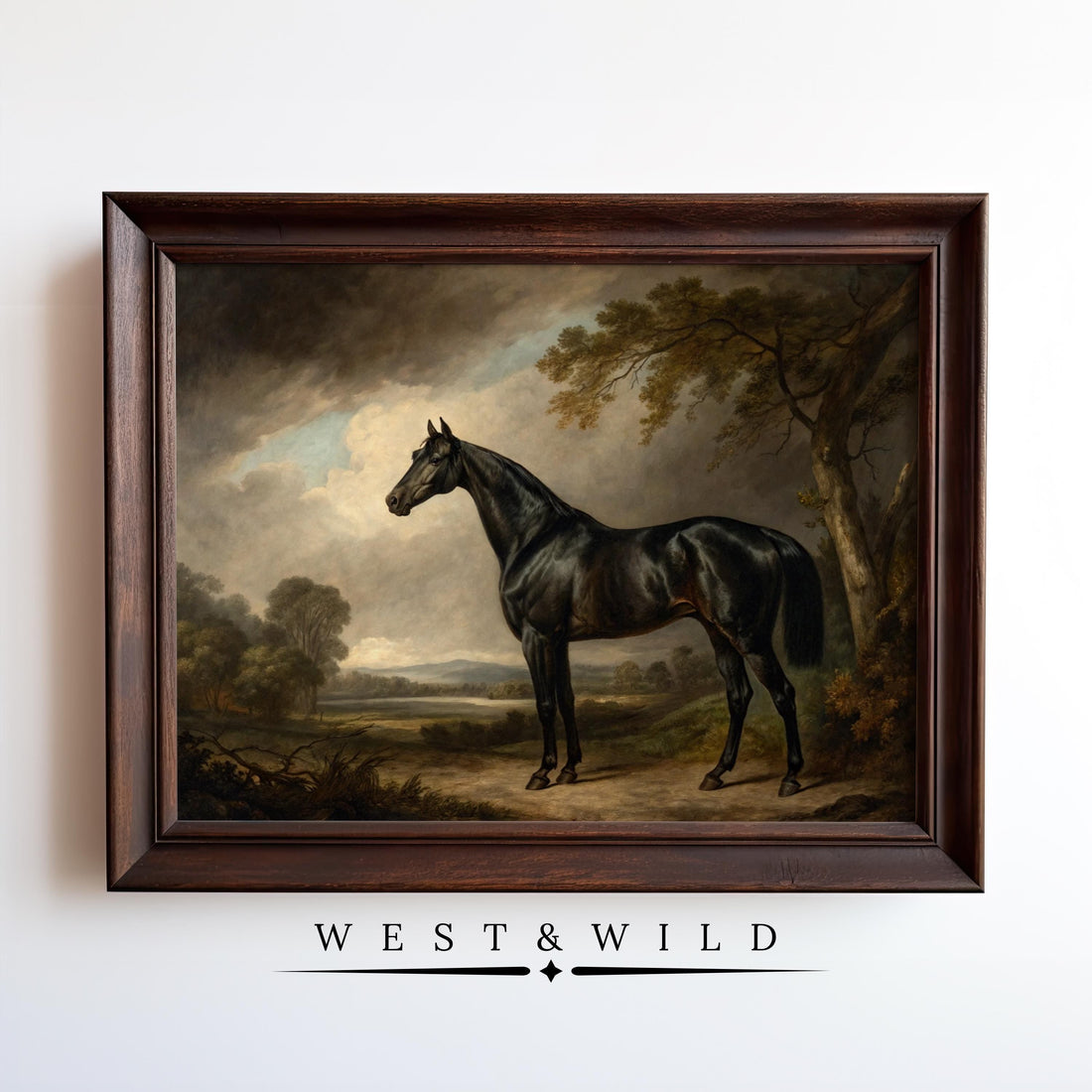 Black horse standing in landscape with tree and distant valley — framed art print