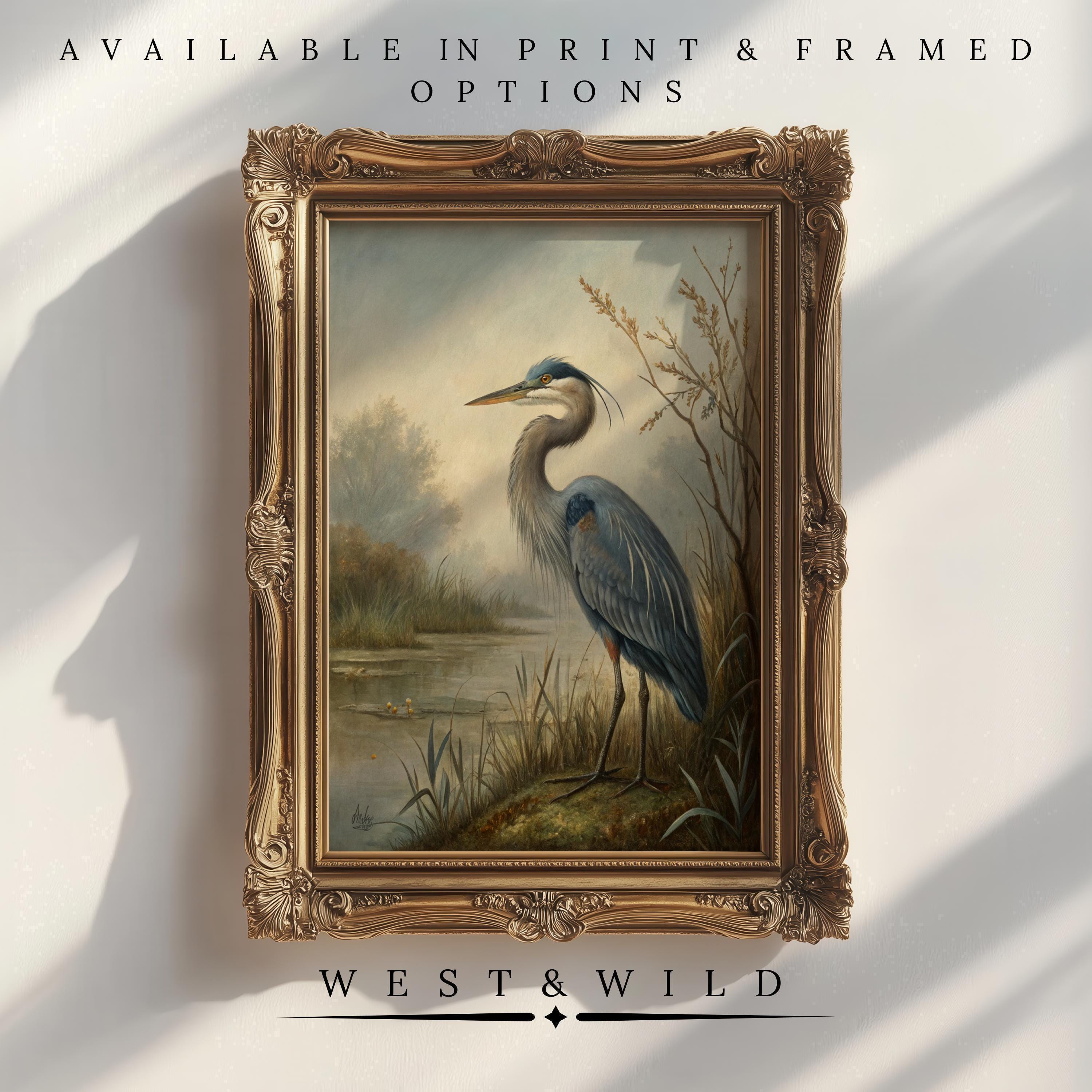A framed painting of a blue heron stands by a pond, surrounded by reeds and grass, with sunlight casting shadows on a white wall. Text above reads Available in Print & Framed Options, and below, West & Wild.