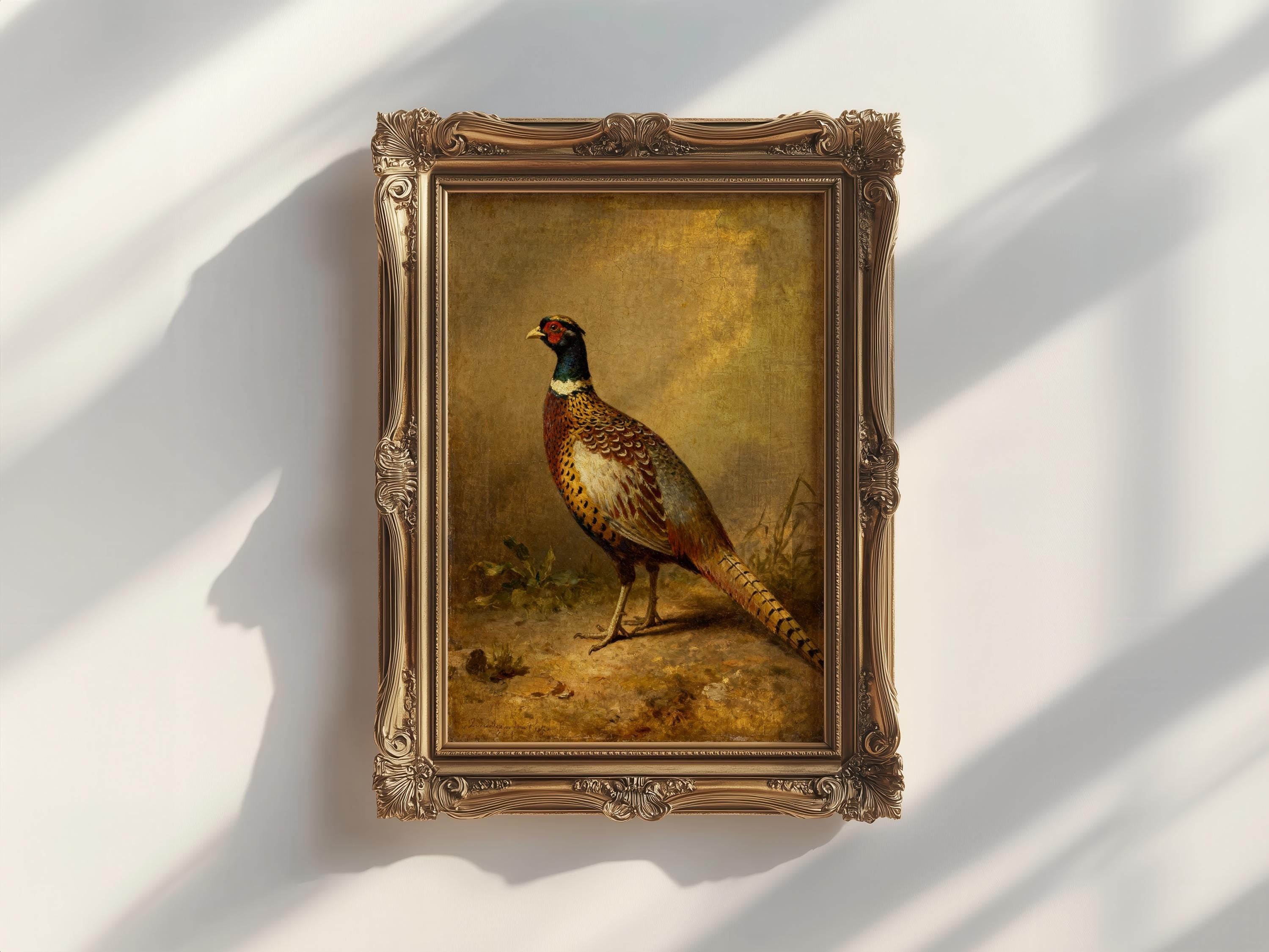 A framed painting of a pheasant standing on the ground, displayed on a white wall with soft sunlight and shadows falling across the artwork.