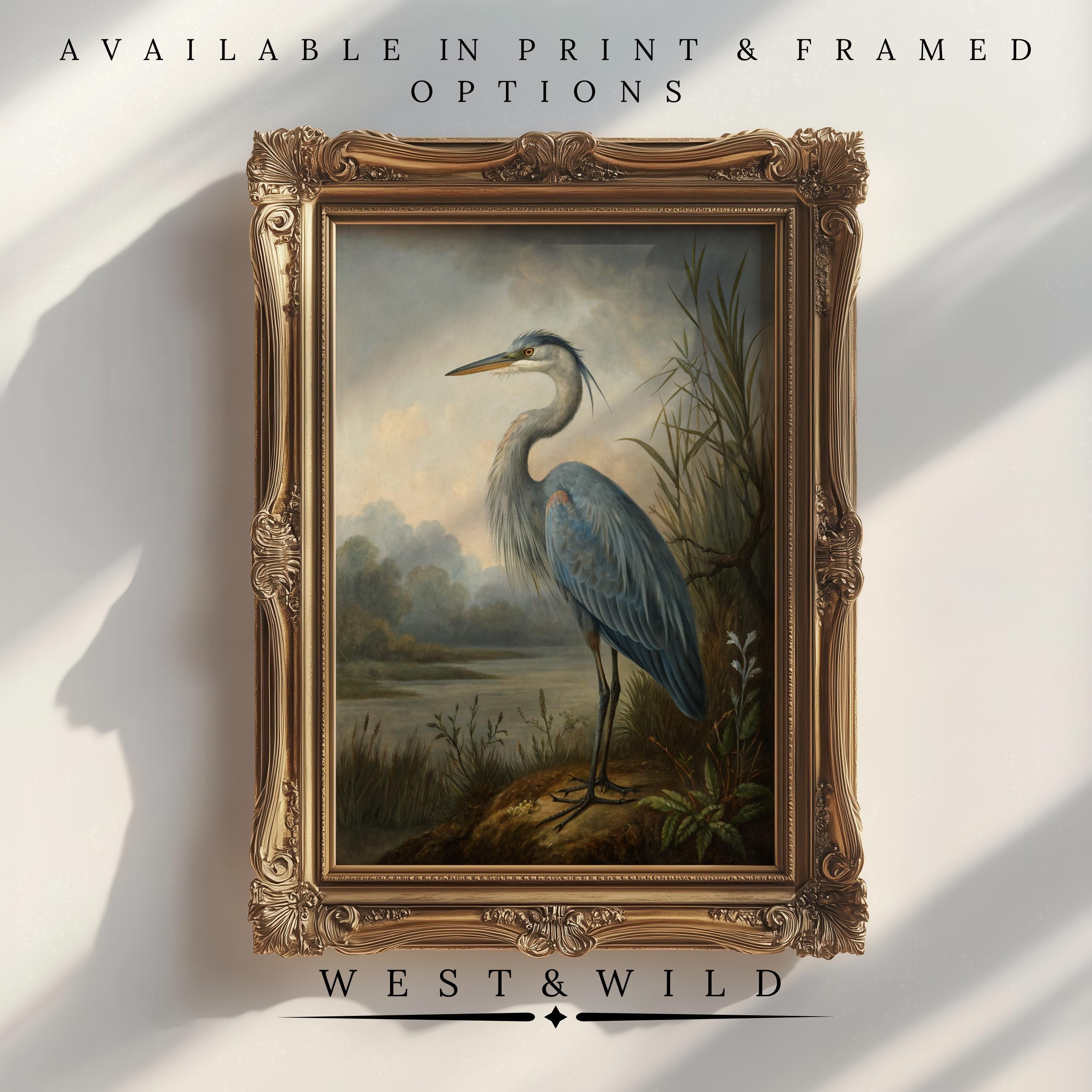 A framed painting of a blue heron standing by water with tall grass, displayed on a wall with text above and below reading Available in Print & Framed Options and West & Wild.