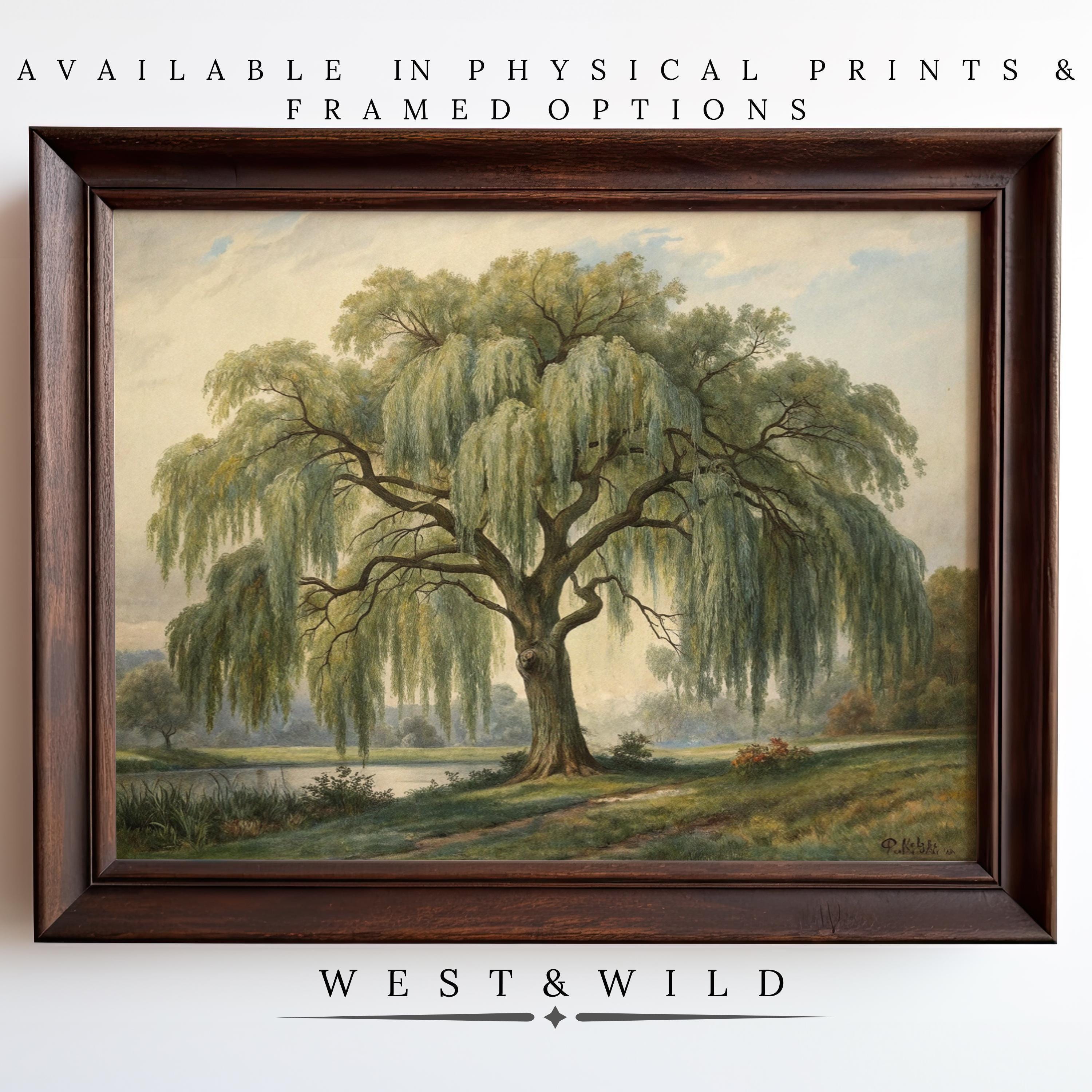 A framed painting of a large willow tree by a riverside, with text above and below promoting physical prints and framed options from West & Wild.