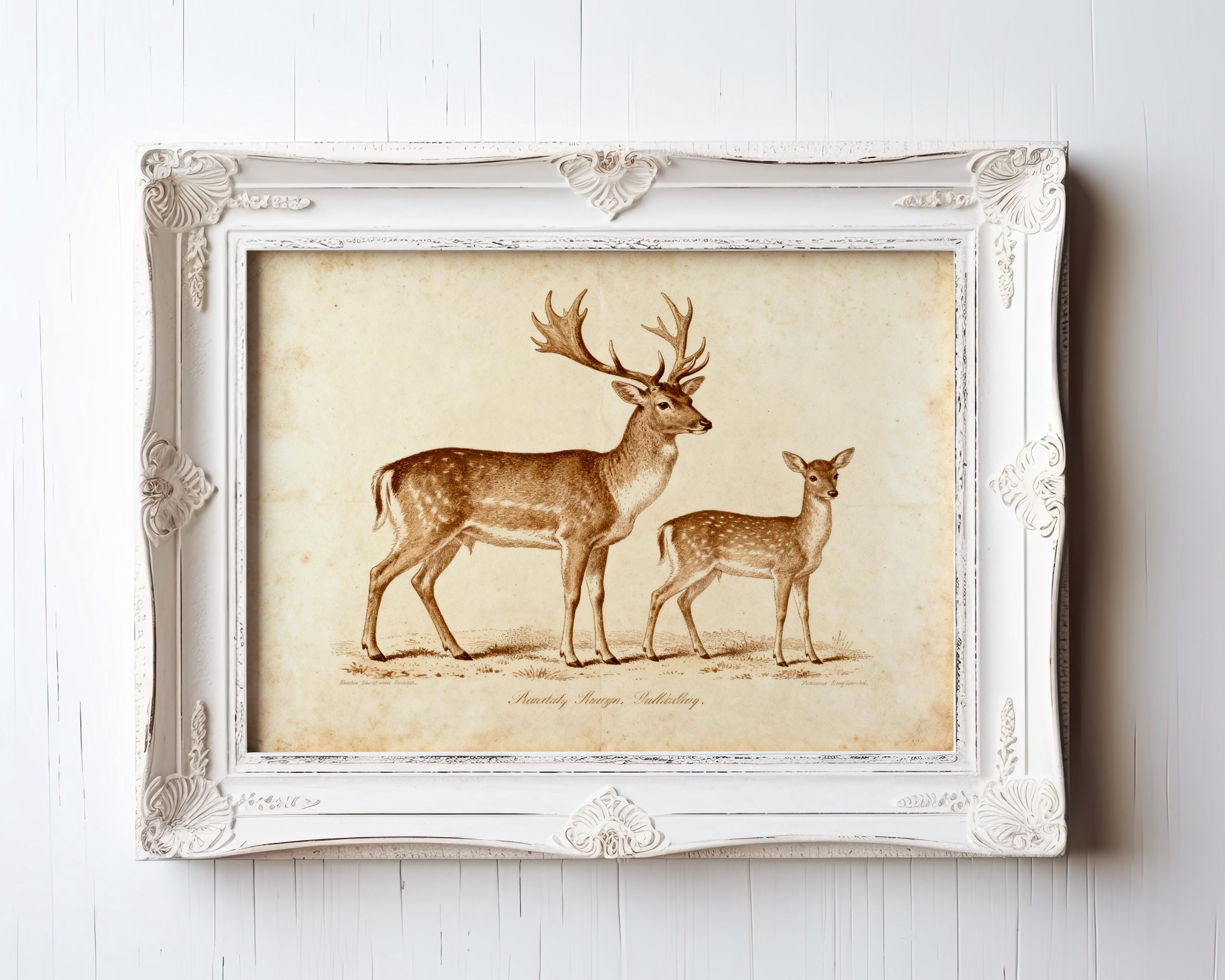The Vintage Deer Art Print features a stag and fawn on a beige background, offered as rustic wildlife wall decor with various wood frame options. A charming, archival-quality piece for your space.