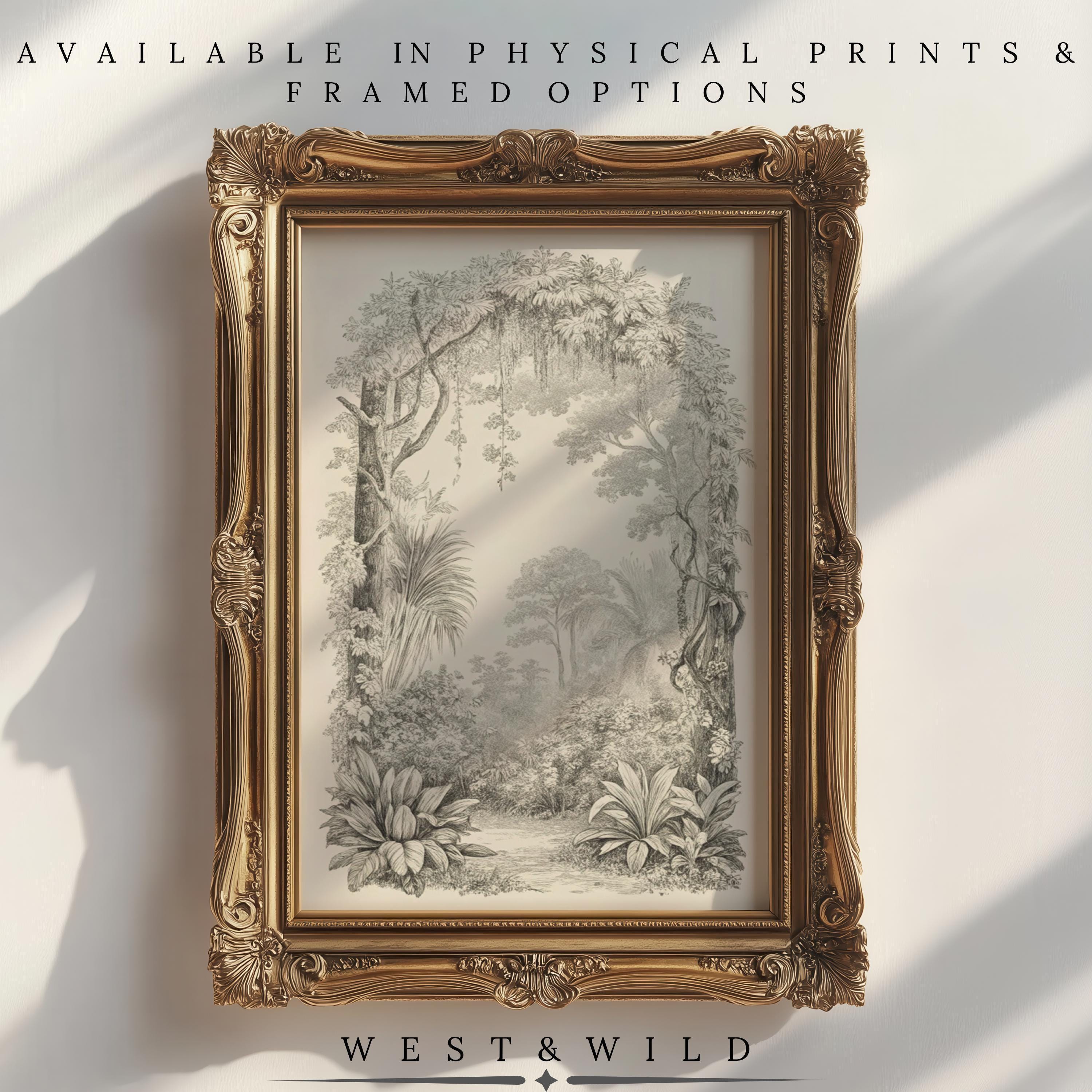 A gold ornate frame displays the Botanical Wall Art—Vintage Botanical Print With Tropical Forest Arch Framed Nature Decor. Available as physical prints and framed art by West & Wild. Sunlight casts shadows on the wall.