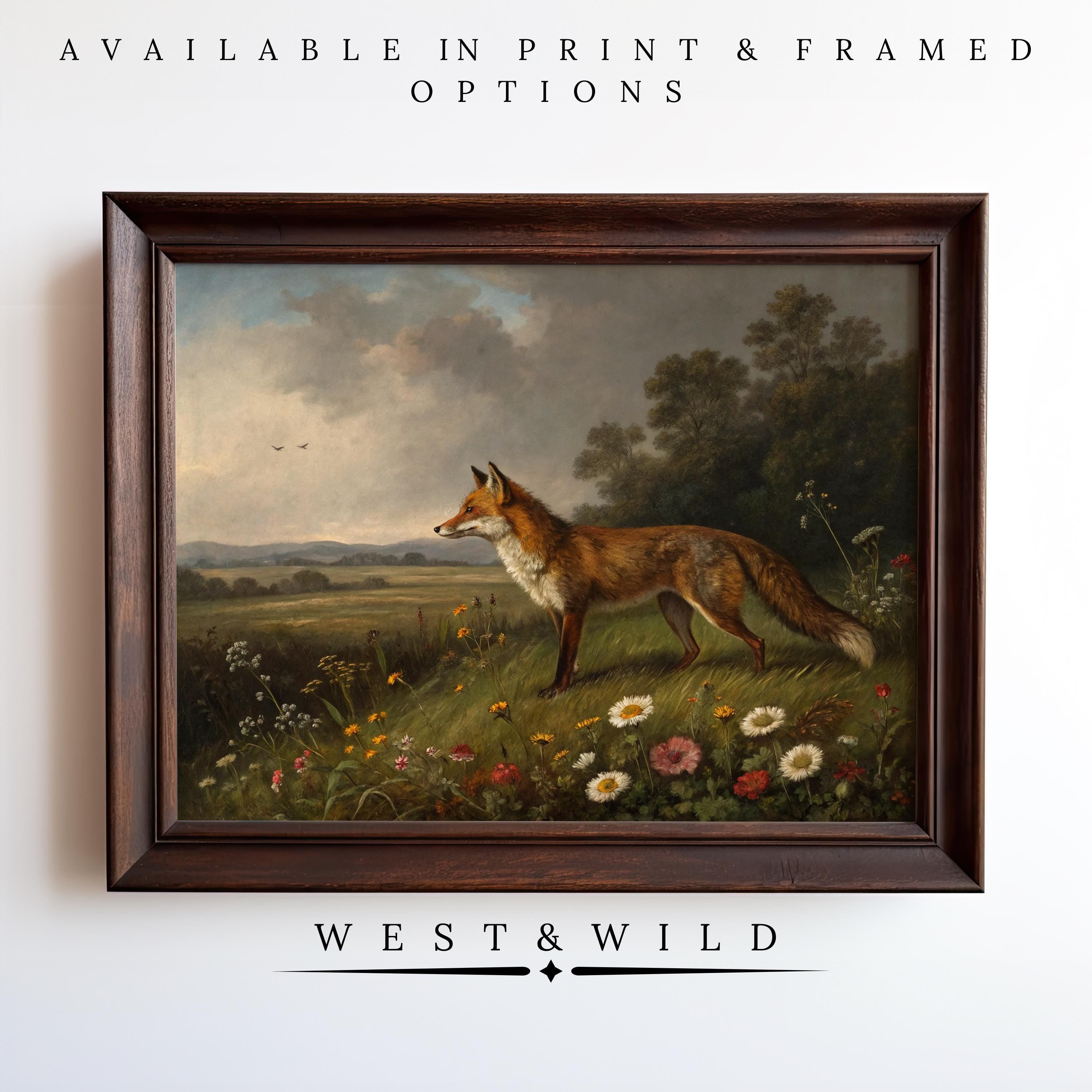 Display "Vintage Fox Wall Art - Bold Red Fox Illustration" featuring a fox in a grassy landscape. Choose from print or framed options. Archival quality guaranteed. Part of the West & Wild Art Archive—perfect cottage-style vintage decor.