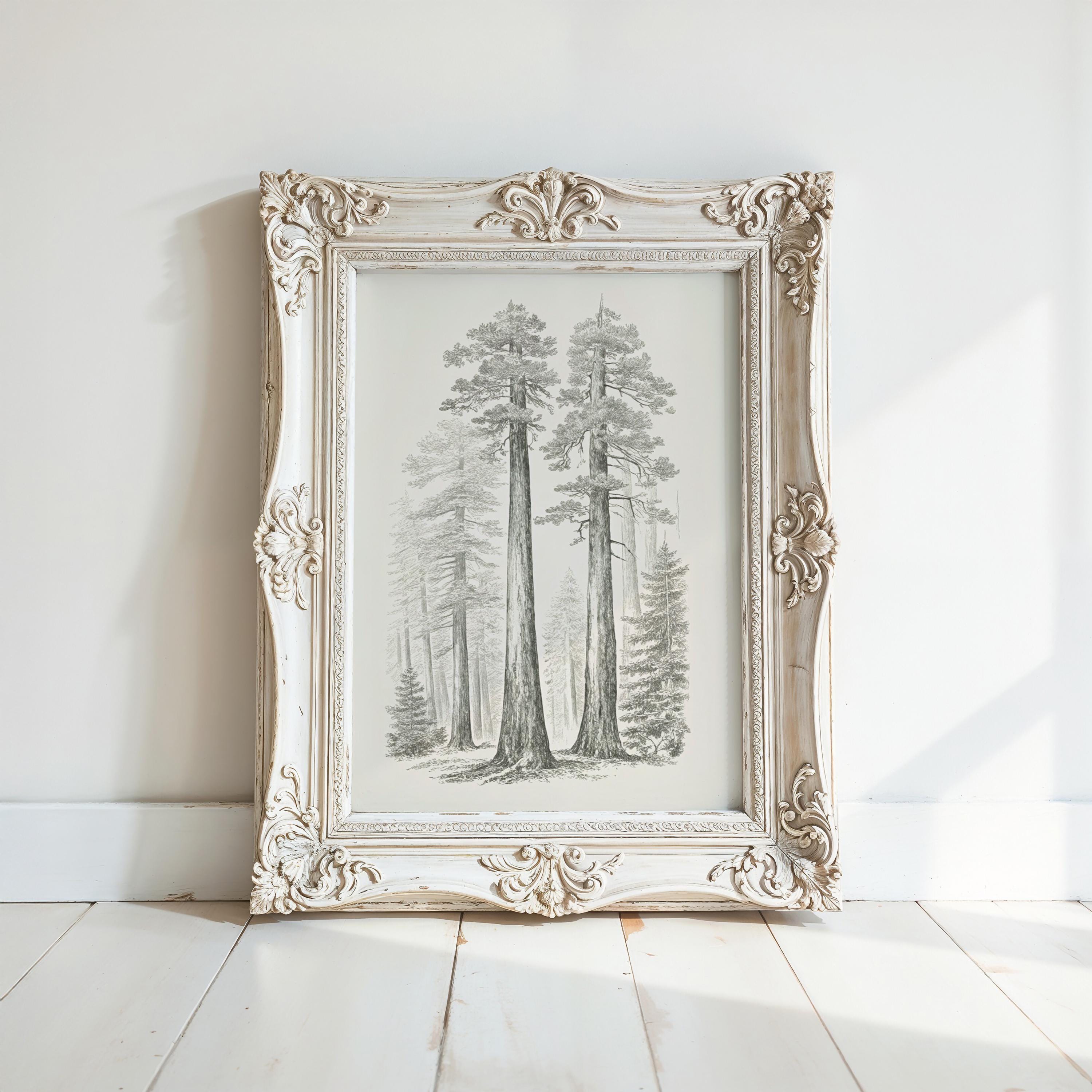 A white ornate picture frame with a black and white illustration of a forest scene inside it, placed on a white wooden floor against a white wall.