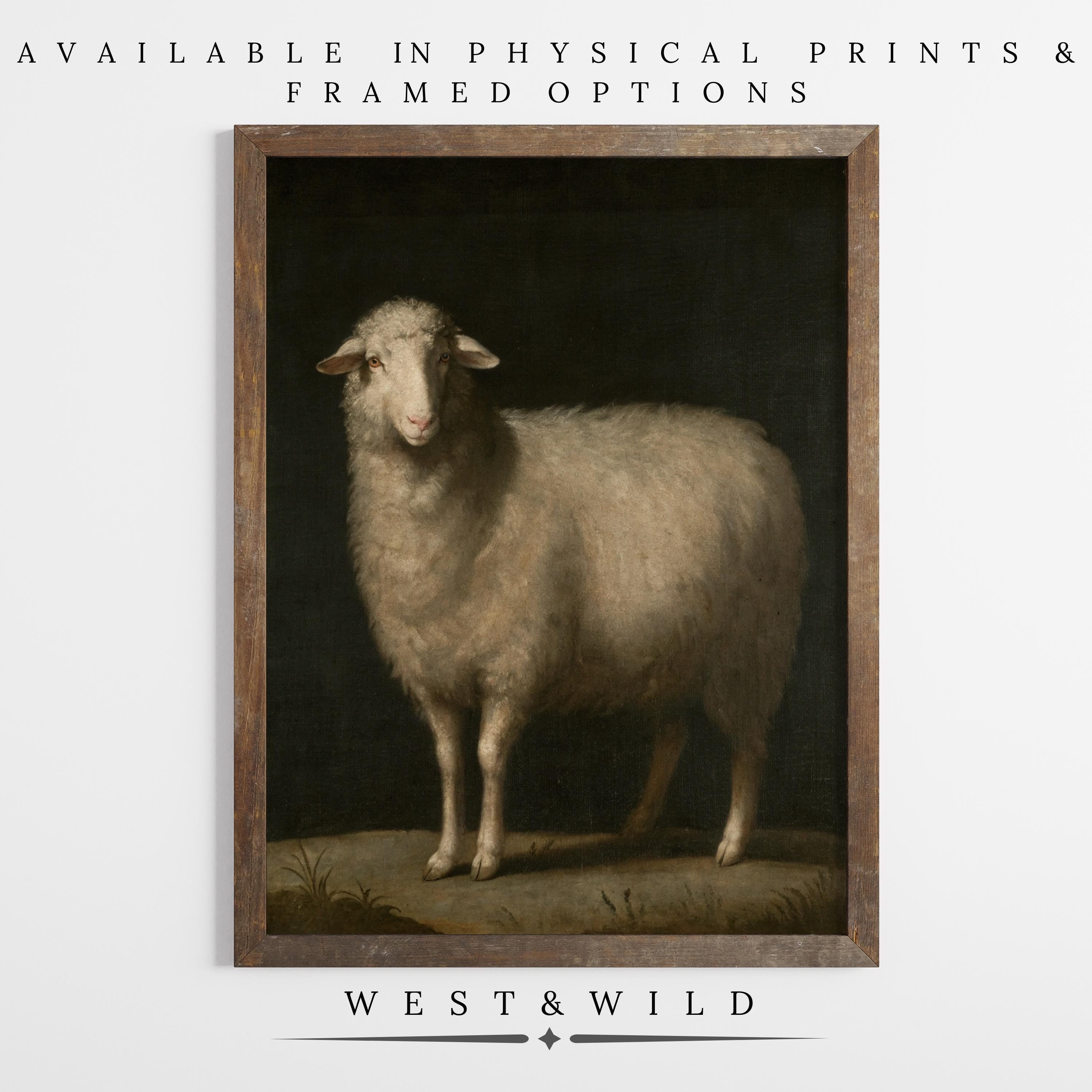 The Vintage Sheep Art Print - Farm Animal Wall Art With Pastoral Charm Decor stands out on a white wall, bringing rustic style. Text above and below the image reads "Available in physical prints & framed options" and "WEST & WILD.