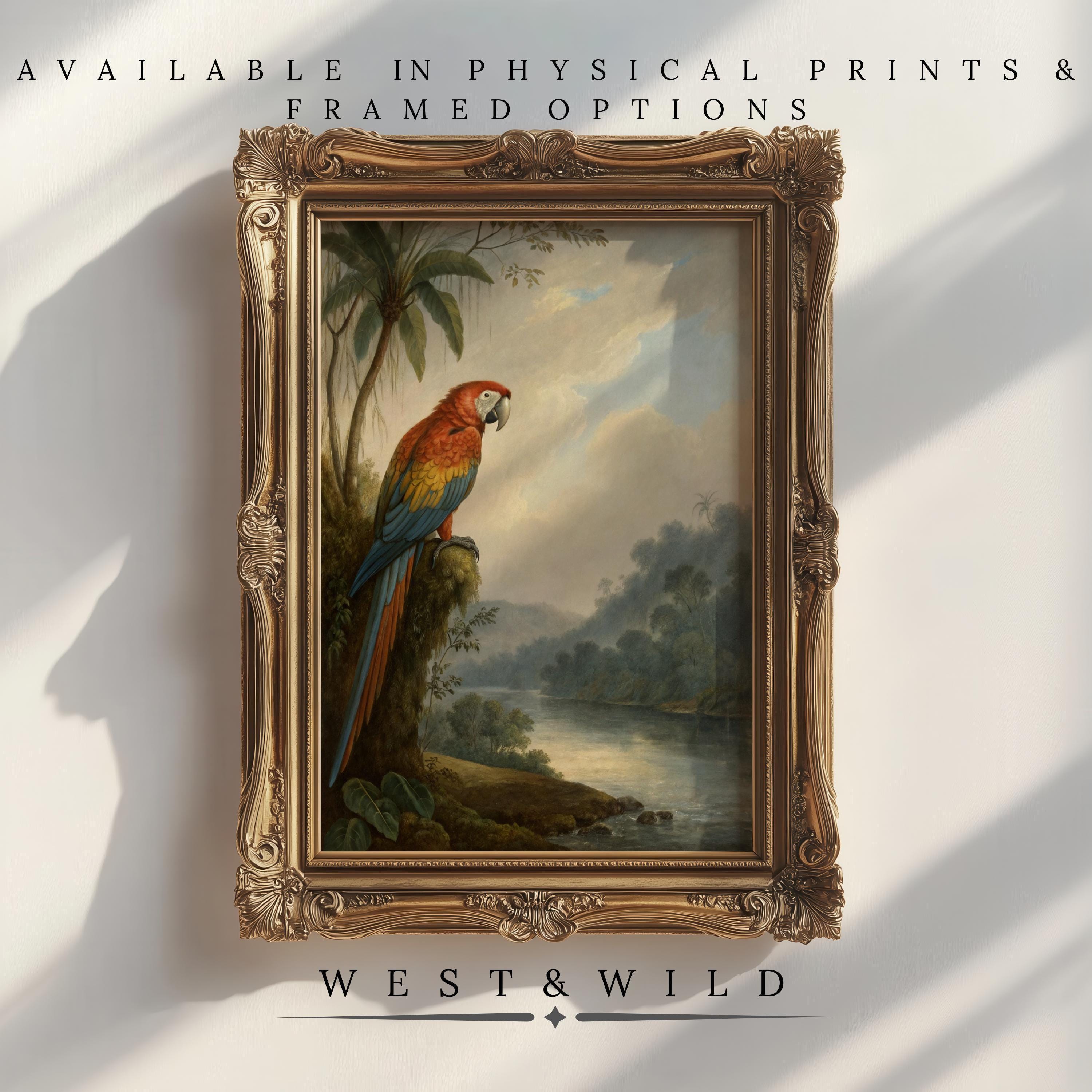 Parrot Wall Art - Colorful Jungle Bird Prints features a vibrant parrot on a branch above a lush river. Available as vintage art prints or framed art from West & Wild Art Archive, sunlight creates beautiful shadows on your wall.