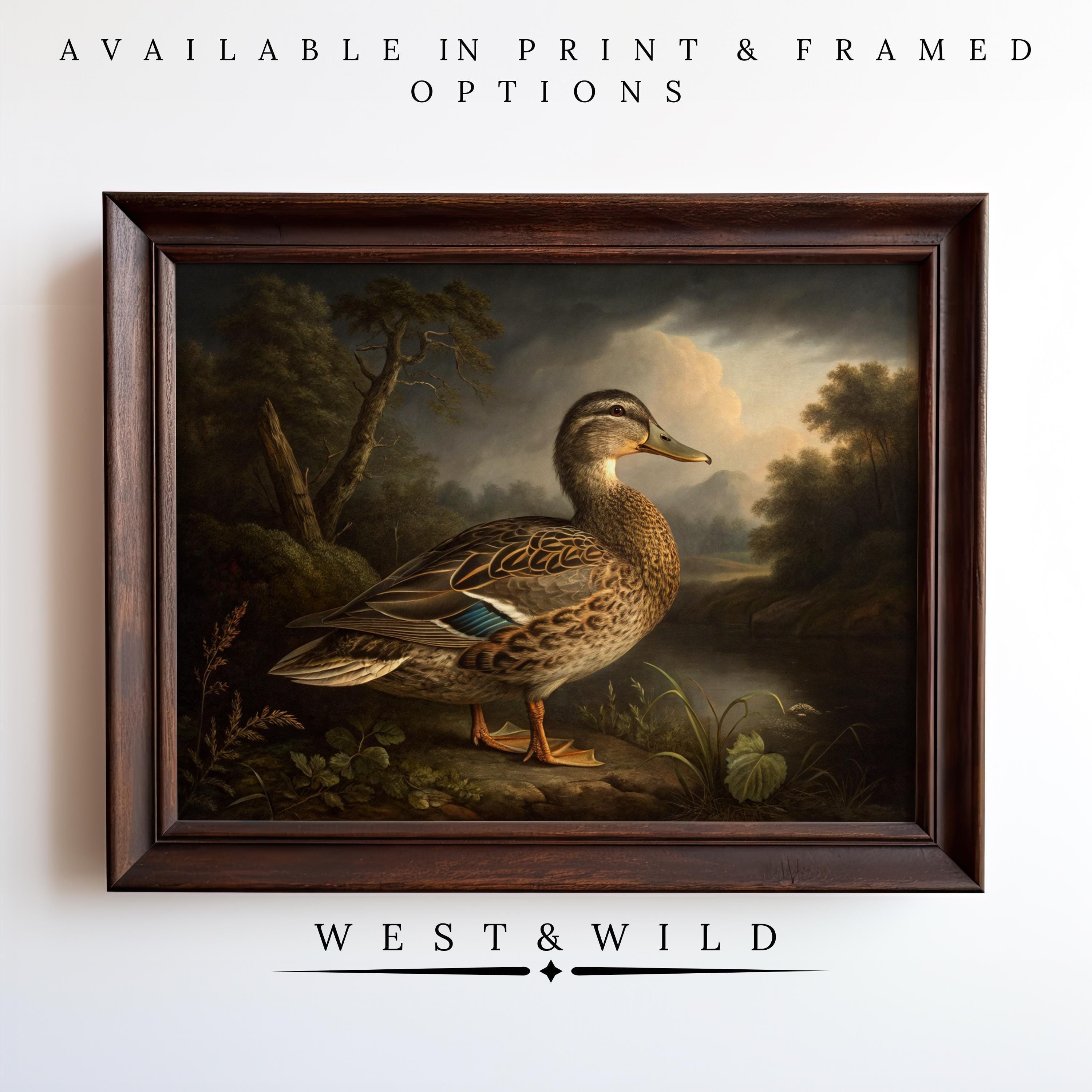 A framed vintage art print of a mallard duck by a pond with trees and clouds. Features “Vintage Duck Print – Mallard Wall Art Framed Painting With Serene Nature Decor.” Available as print or framed; archival quality ensured by West & Wild Art Archive.