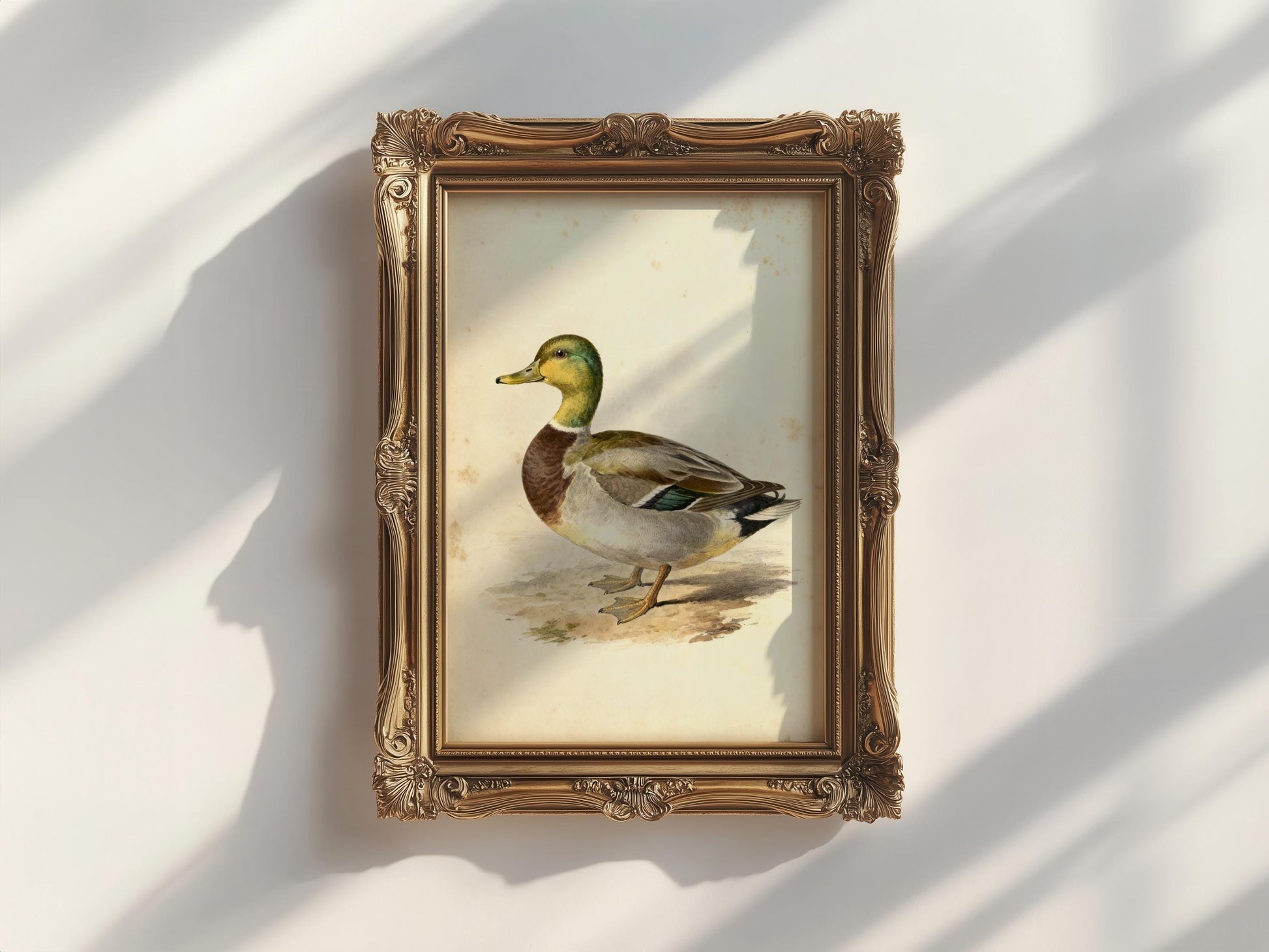 a painting of a duck in a frame.