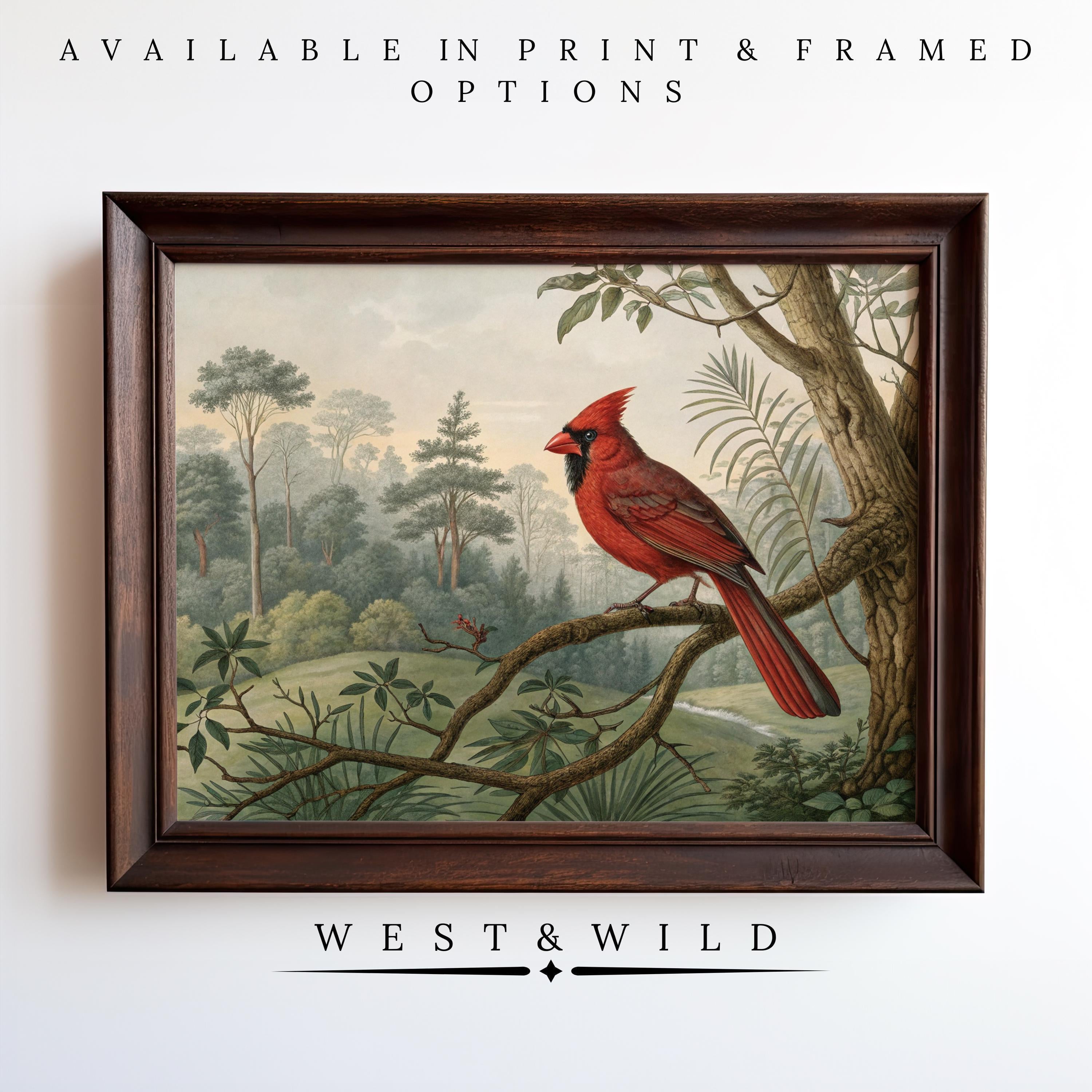 Vintage Cardinal Art