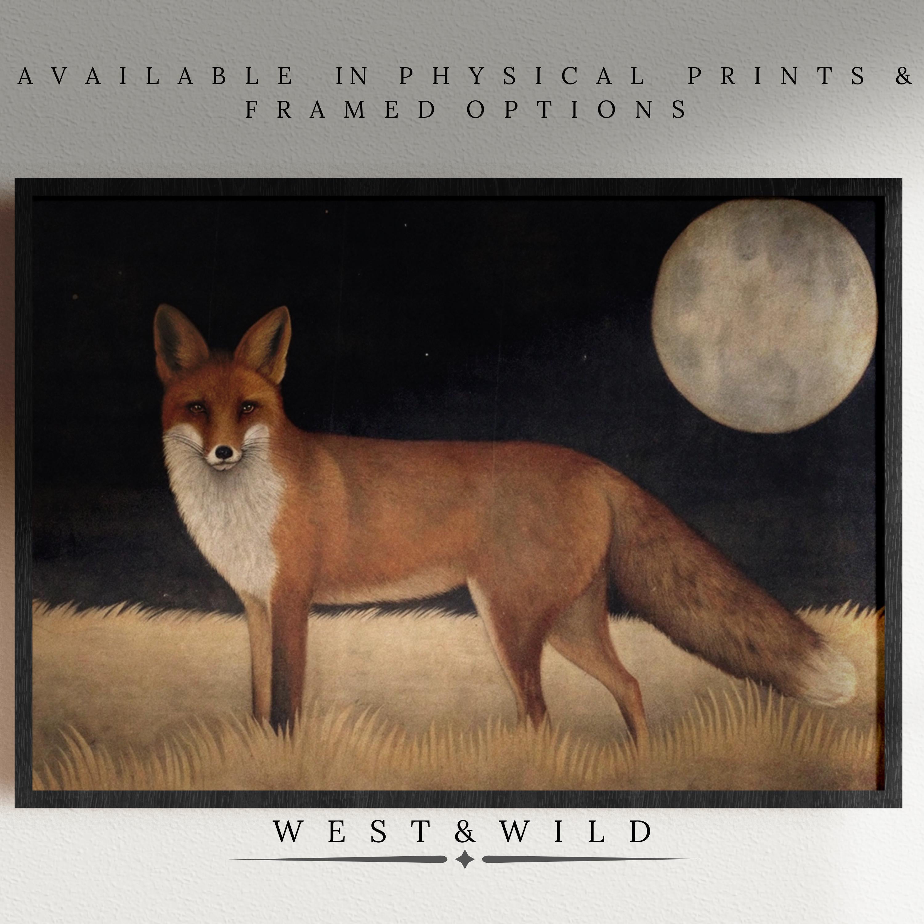 The Vintage Fox Art Print – Rustic Wall Decor features a fox under moonlight, inspired by the West & Wild Art Archive and crafted with archival quality. Available as a print or framed art for timeless, lasting beauty in your space.