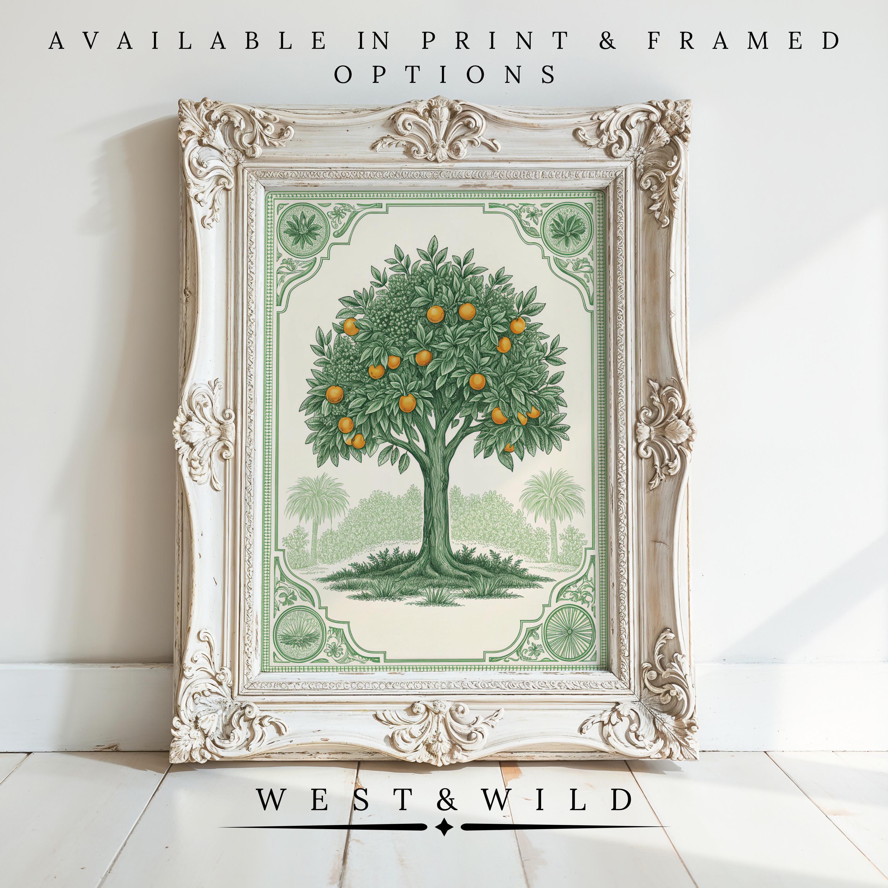 Framed “Vintage Tree Art” print featuring an orange tree with fruit and leaves, shown against a white wall. From the West & Wild Art Archive. Available as both print and framed art. Vintage botanical, rustic farm decor style.