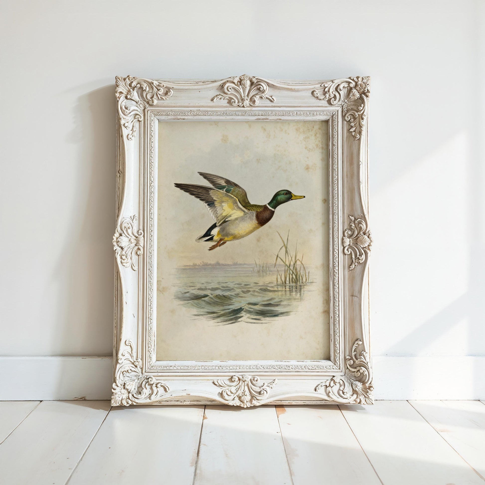 a white ornate frame containing a painting of a duck in mid-flight over a body of water.