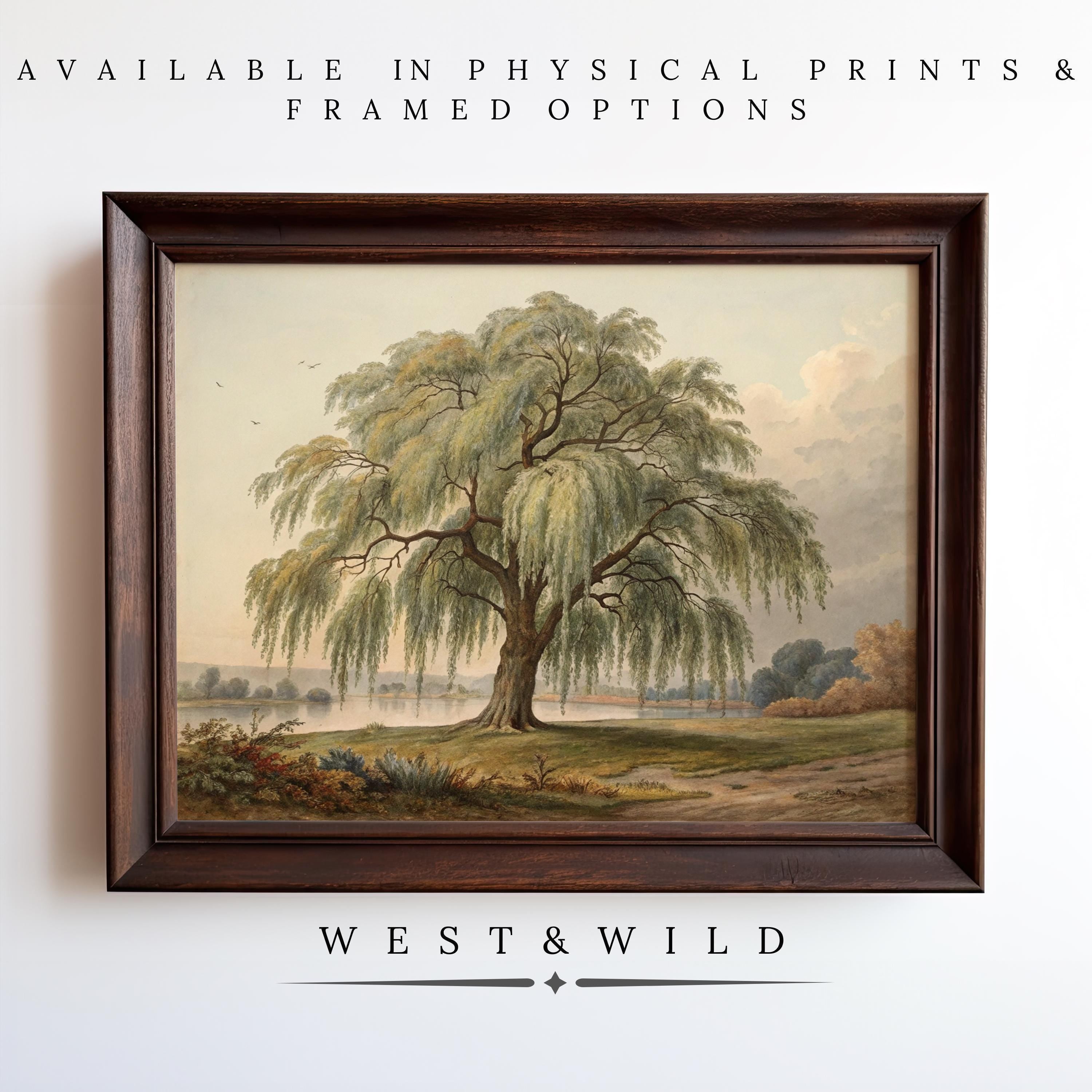 Willow Tree Painting | Vintage Framed Landscape Wall Prints