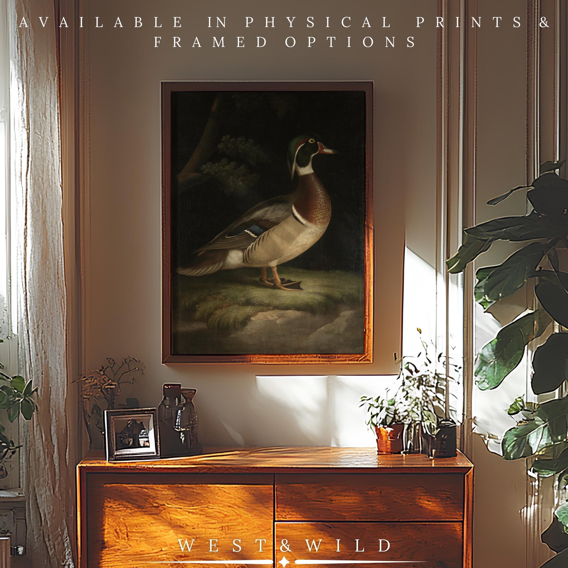 A sunlit room with a wooden sideboard, potted plants, and the Wood Duck Print—Classical Bird Art on the wall. Text: "Available as archival quality prints & framed art. Vibrant vintage illustrations by West & Wild Art Archive.