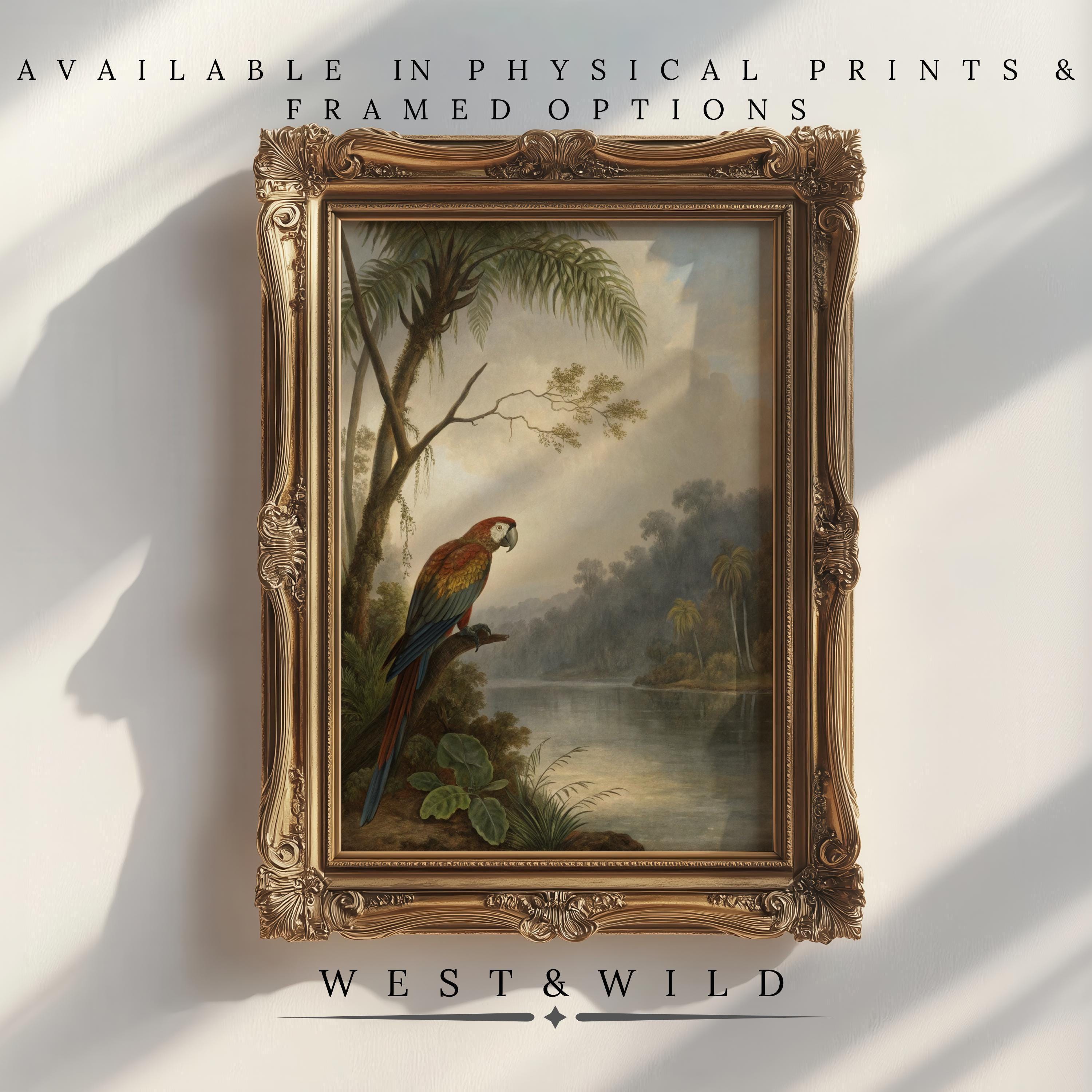 A framed vintage parrot artwork features a colorful bird on a branch by a river with lush foliage. Archival quality. Available as Vintage Parrot Artwork – Framed Jungle River Art | Tropical Bird Print Decor by West & Wild Art Archive.