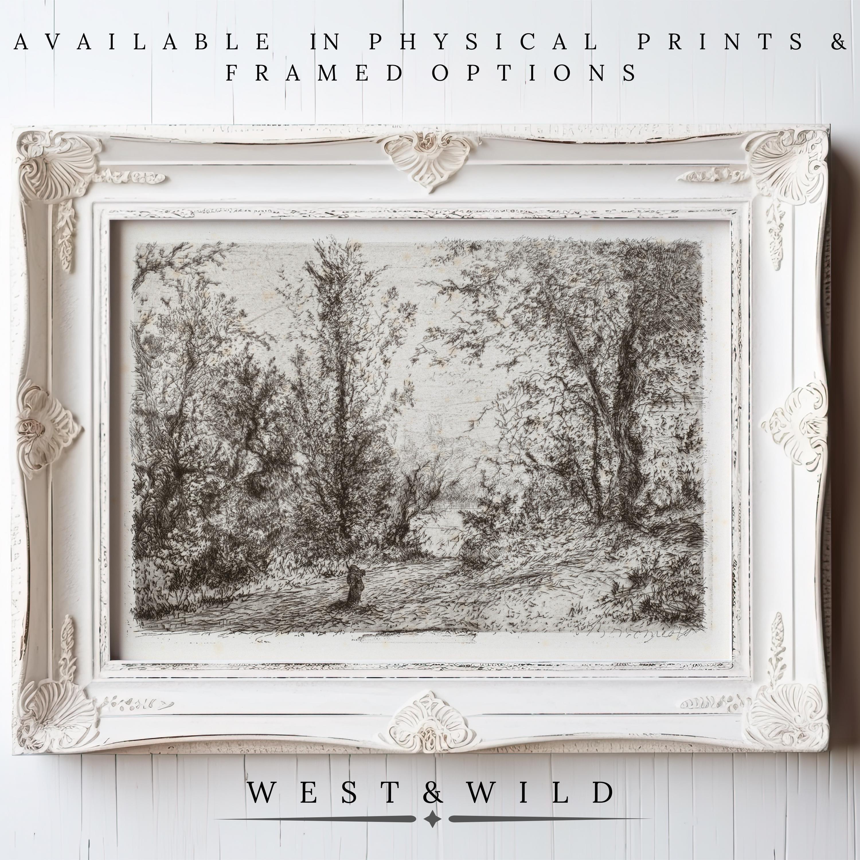 A bold black and white Forest Sketch Art in a vintage ornate white frame, featuring trees and foliage. Available as archival quality prints or framed art. Brand: West & Wild.