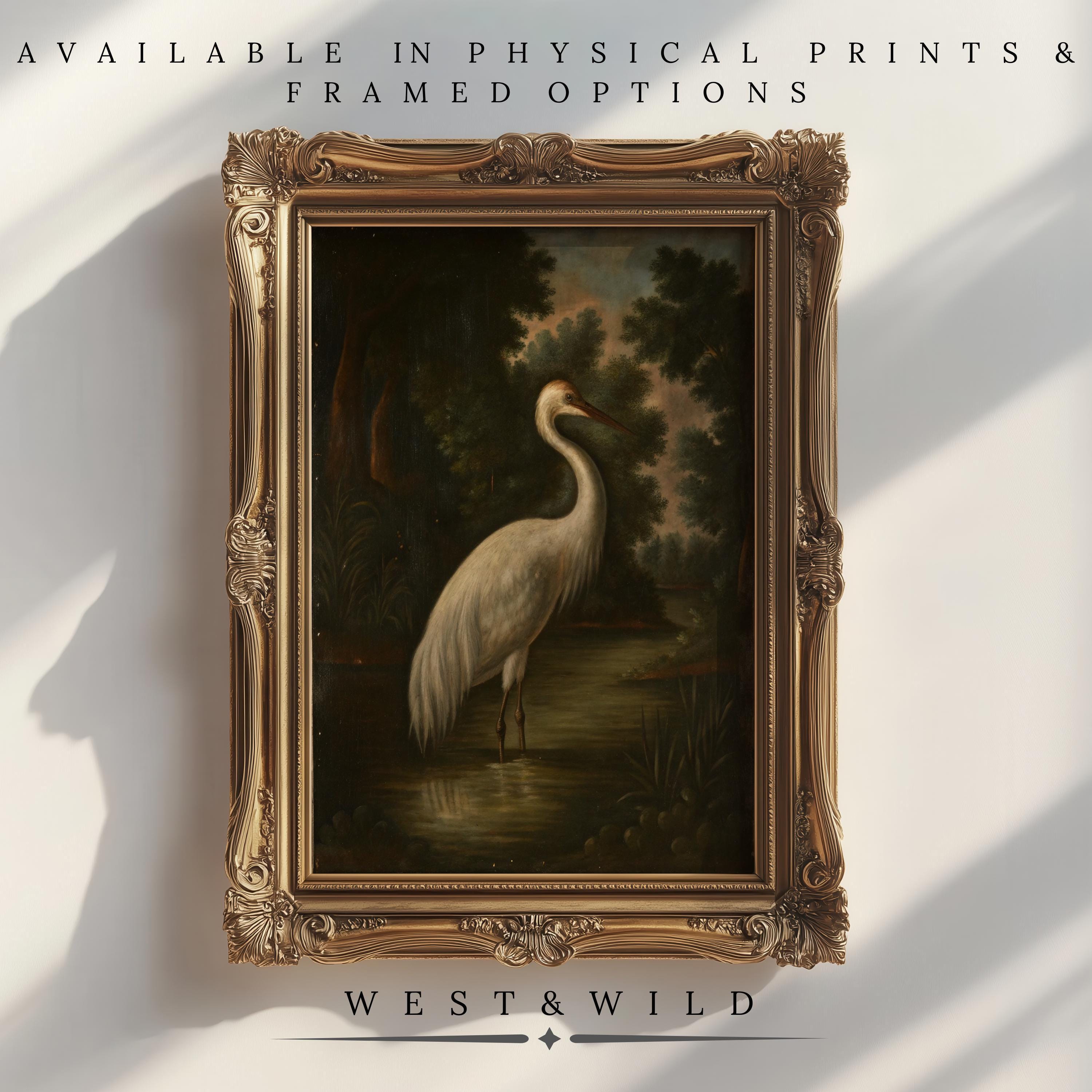Crane Bird Art Prints – Vintage Waterfowl Art features a white crane in a pond with trees, sunlight casting shadows on the wall. AVAILABLE IN PHYSICAL PRINTS & FRAMED OPTIONS. WEST & WILD.