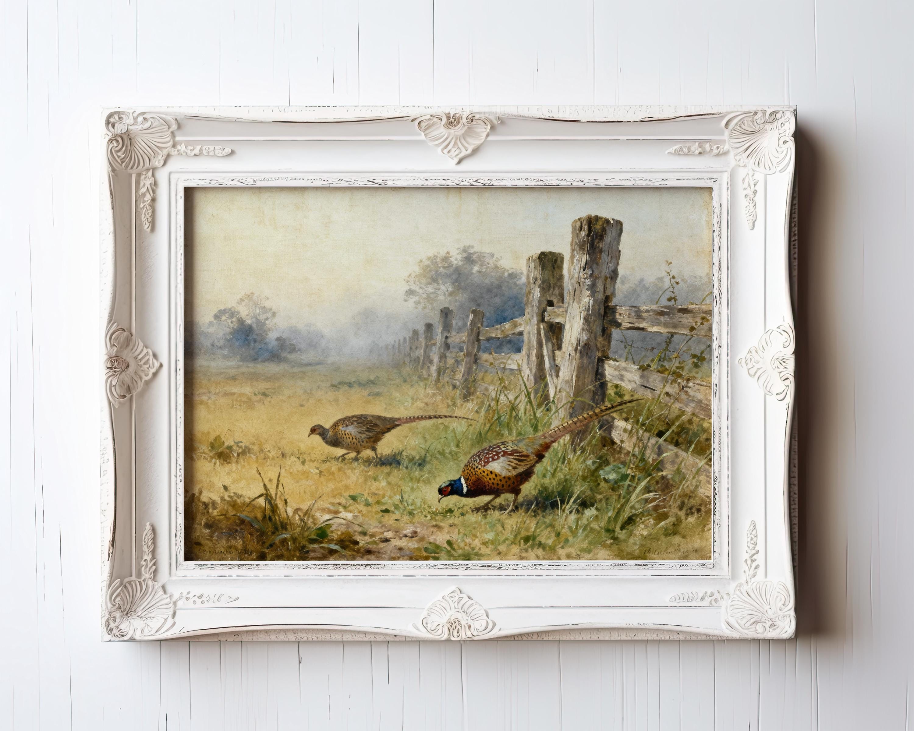 two pheasants in a grassy field, with one standing and the other walking through the grass.