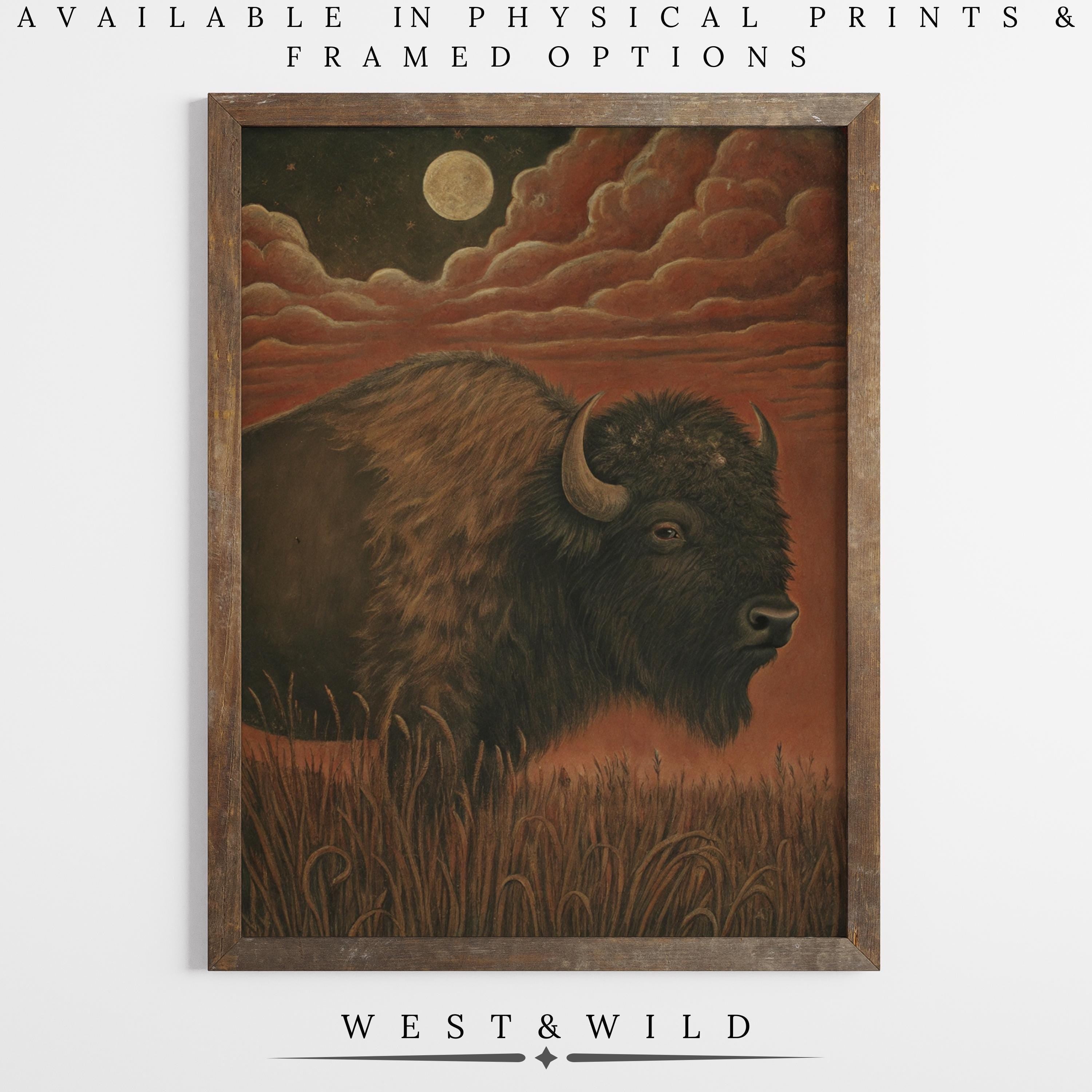 Primitive Buffalo Art Print: Rustic bison artwork with a full moon prairie scene in warm, earthy tones. Available as a vintage art print or framed art. From West & Wild Art Archive.