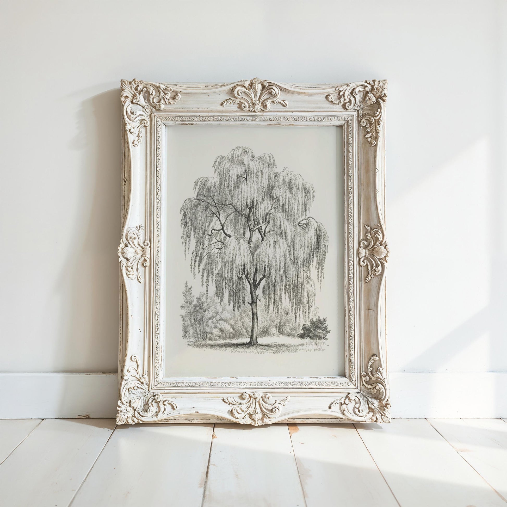 A white ornate picture frame with a black and white illustration of a willow tree in the center.