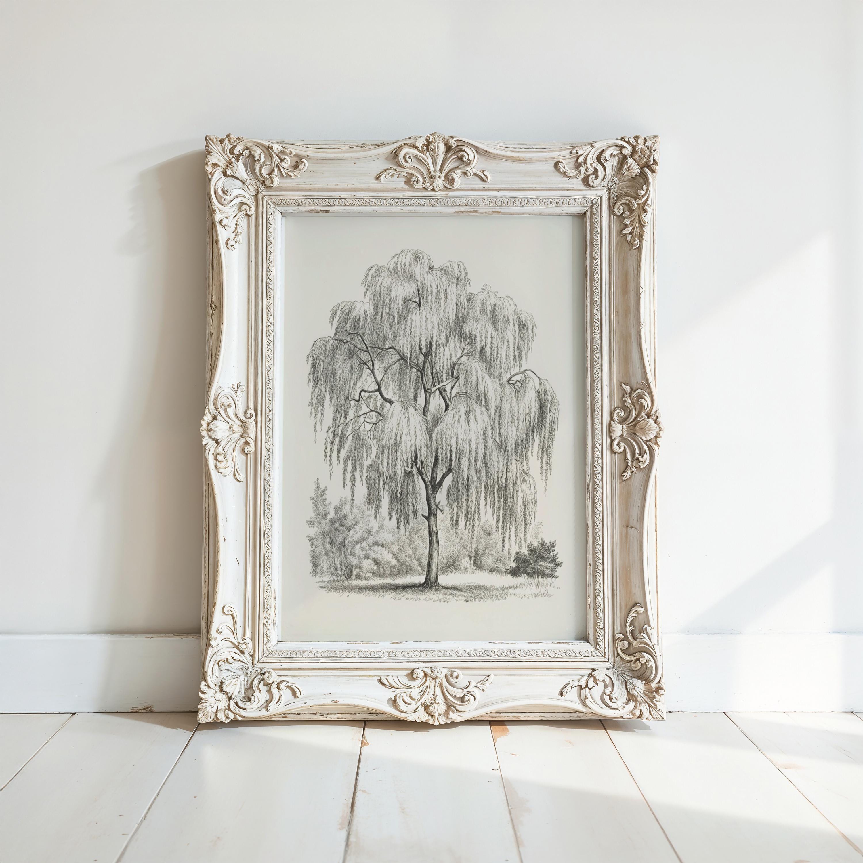 A white ornate picture frame with a black and white illustration of a willow tree in the center.