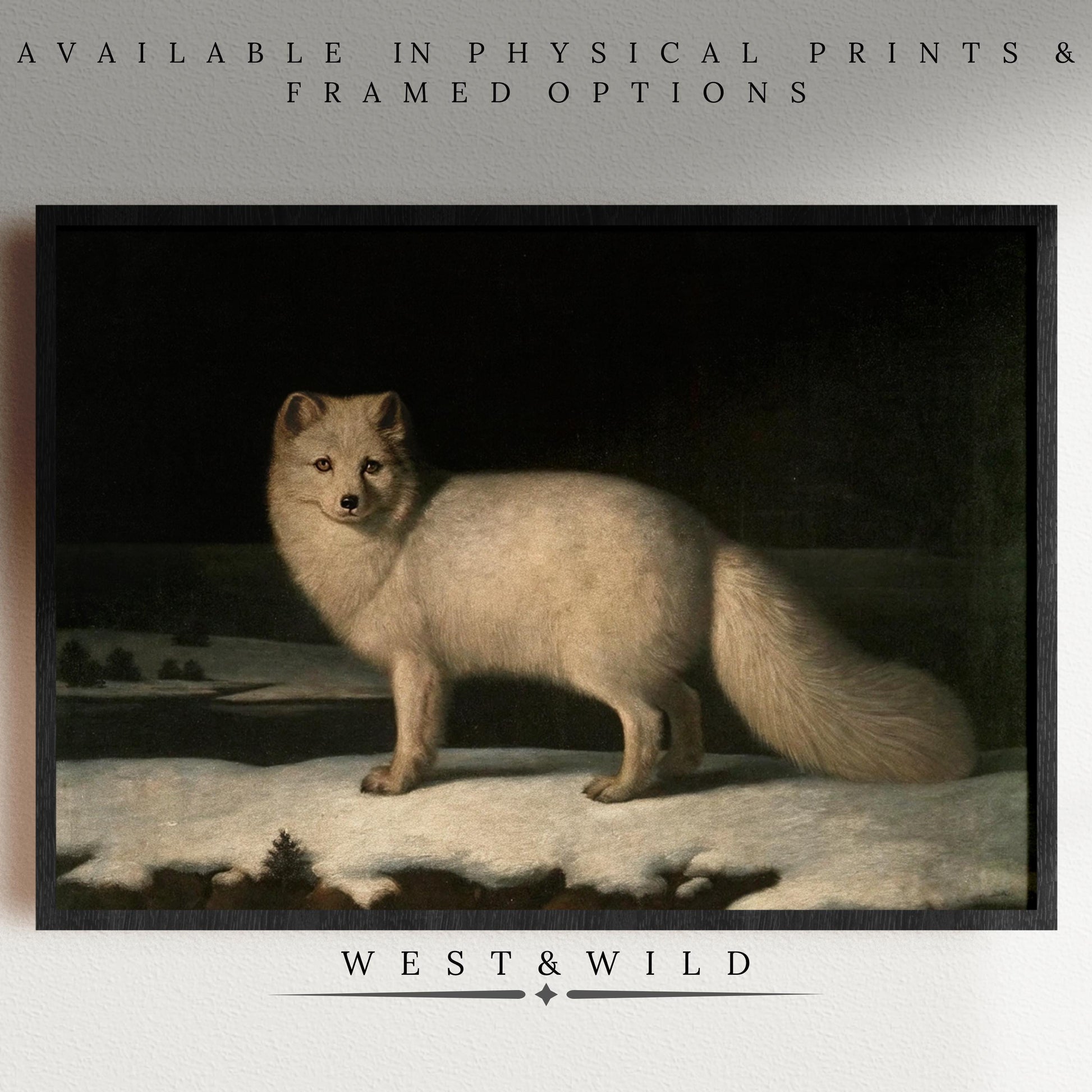 Arctic Fox Art Prints – Vintage Wildlife Painting On Matte Paper, shown framed on a wall with an arctic fox under a dark sky. Perfect winter wildlife decor. Text above: Available in physical prints & framed options; West & Wild below the artwork.