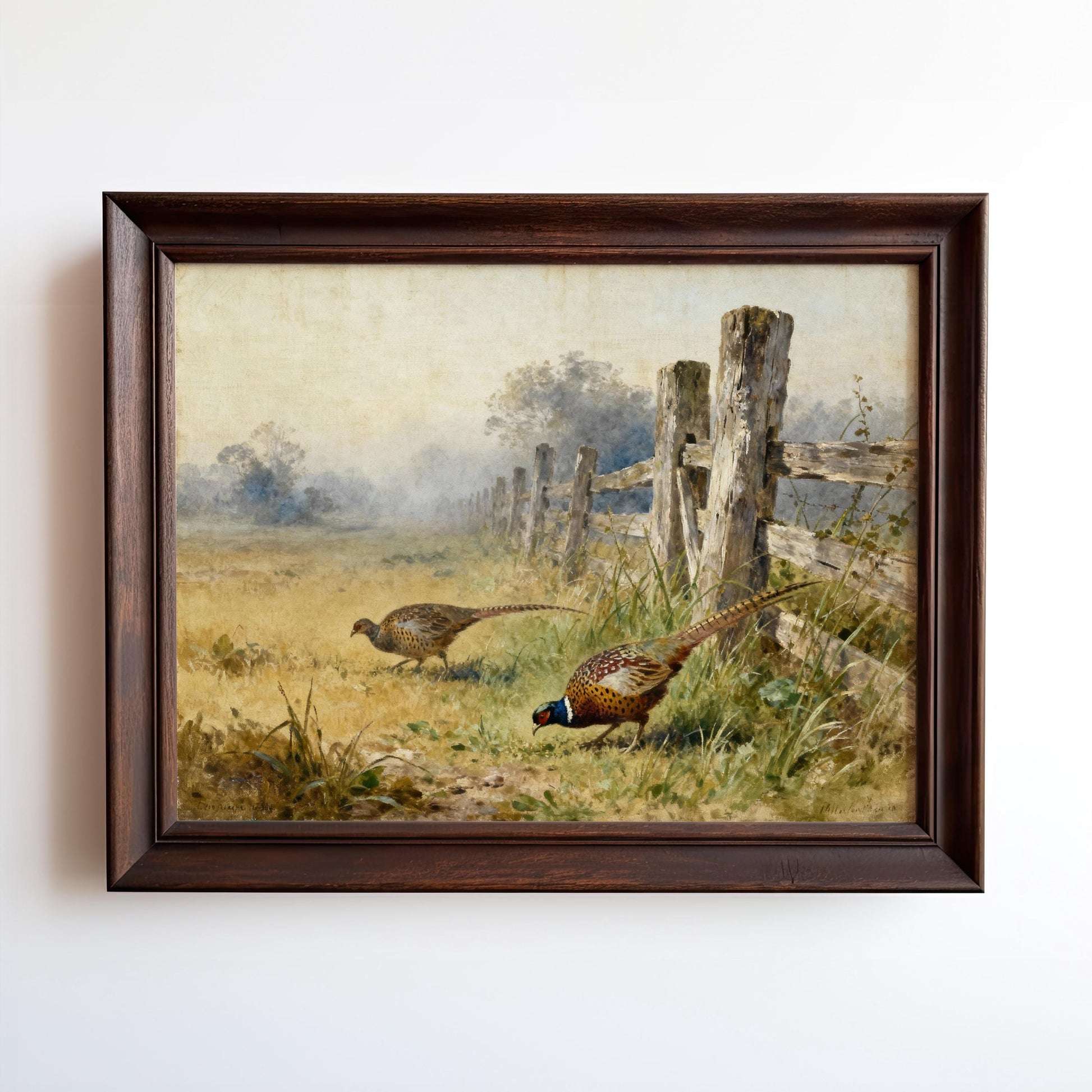 two pheasants in a grassy field, with one standing and the other pecking the ground.