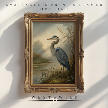 The Great Blue Heron Painting – Vintage Style Art, part of the West & Wild Art Archive, features a serene heron by a pond with reeds. Available as print or framed bird art for beach house decor.