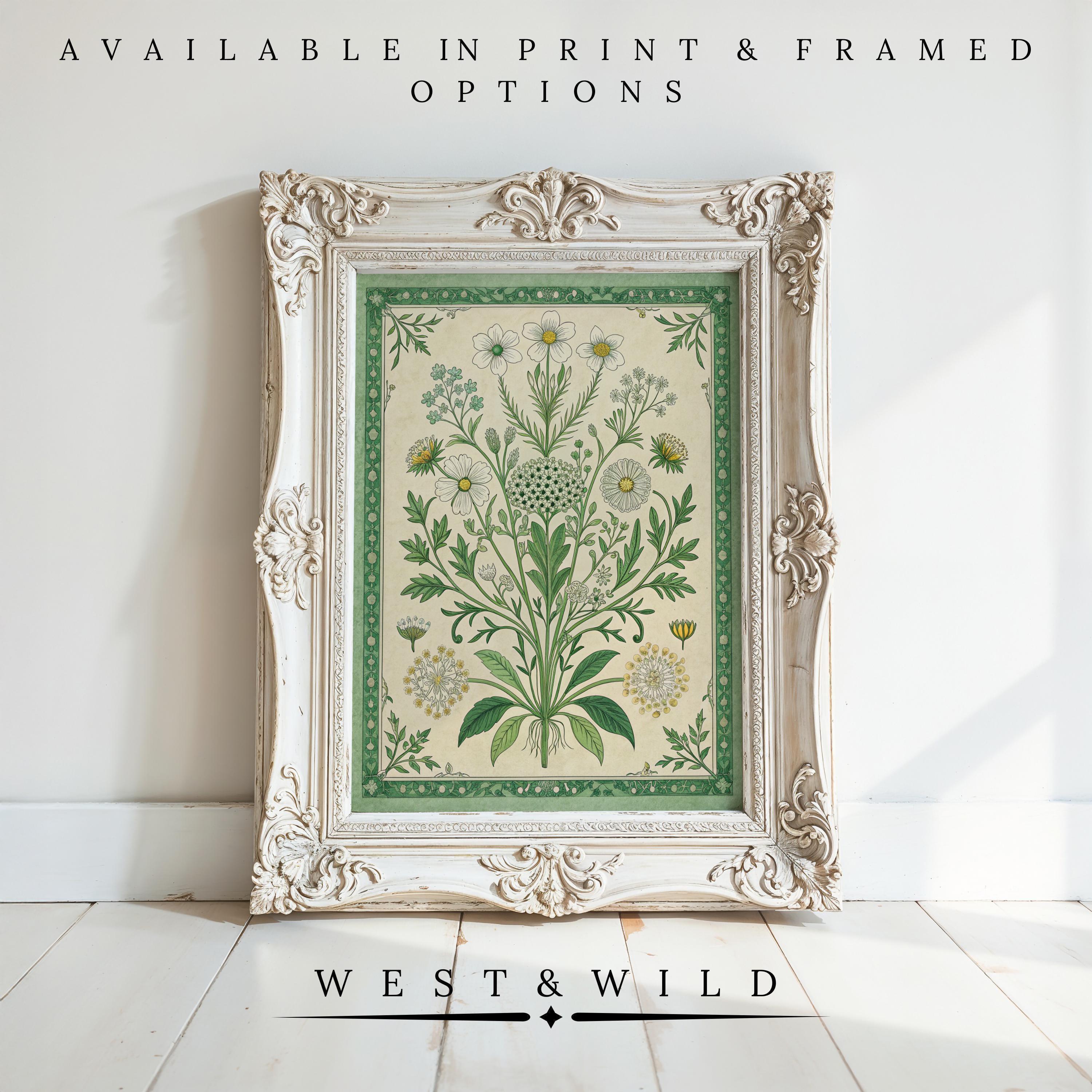 A Vintage Botanical Prints - Green Floral Collage With Victorian Border Art, in a decorative white frame, is displayed on a white wooden floor. Text above reads Available in print & framed options; West & Wild appears below the frame.