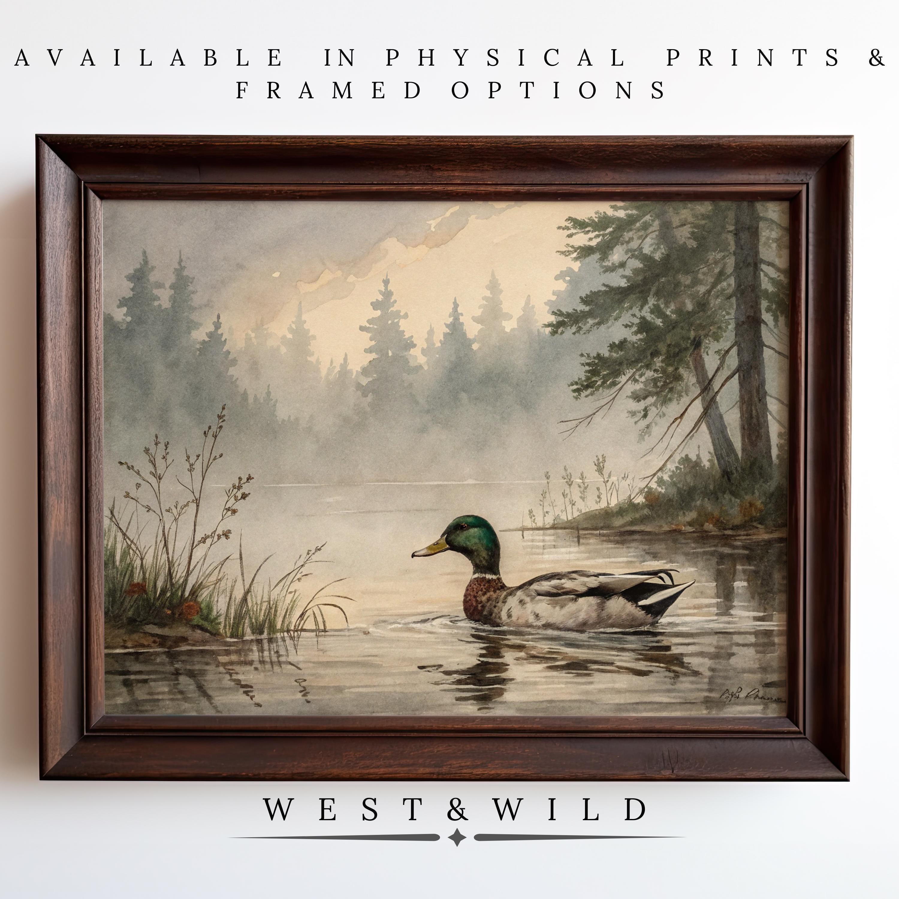 Mallard Duck Art - Vintage Waterfowl Wall Art | Rustic Farmhouse Duck Decor Print - Vintage Art Prints & Framed Art