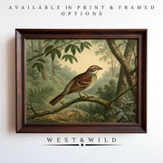 Sparrow Vintage Art