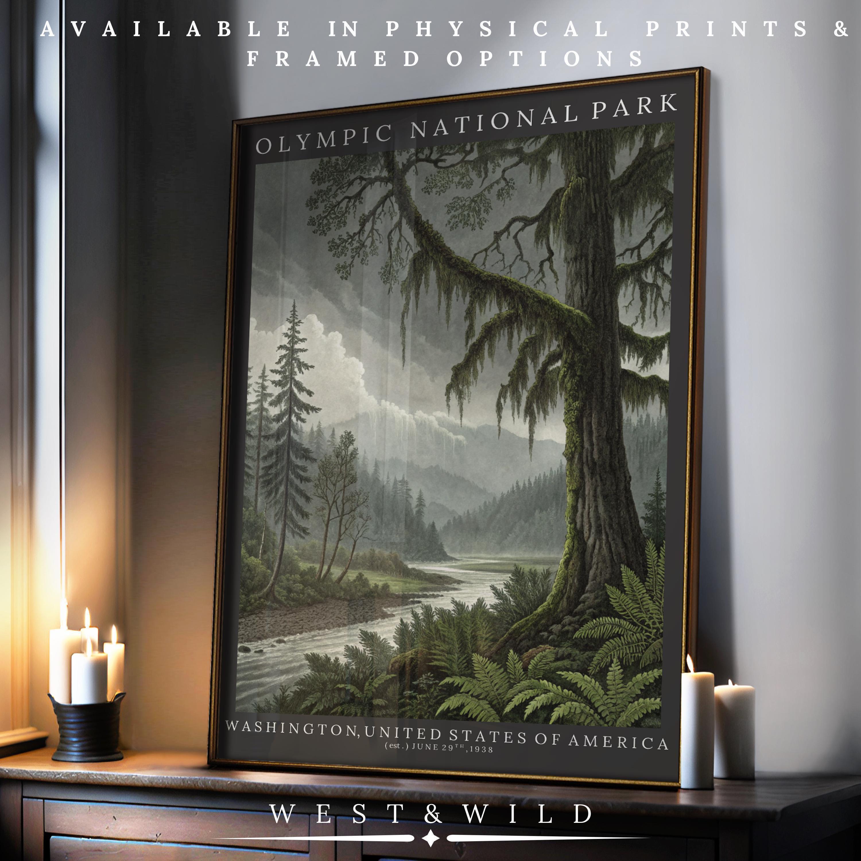 The Olympic National Park Poster - Vintage Travel Art features a misty forest, tall trees, and river décor. From West & Wild Art Archive, this archival-quality print is available as physical prints or framed art.