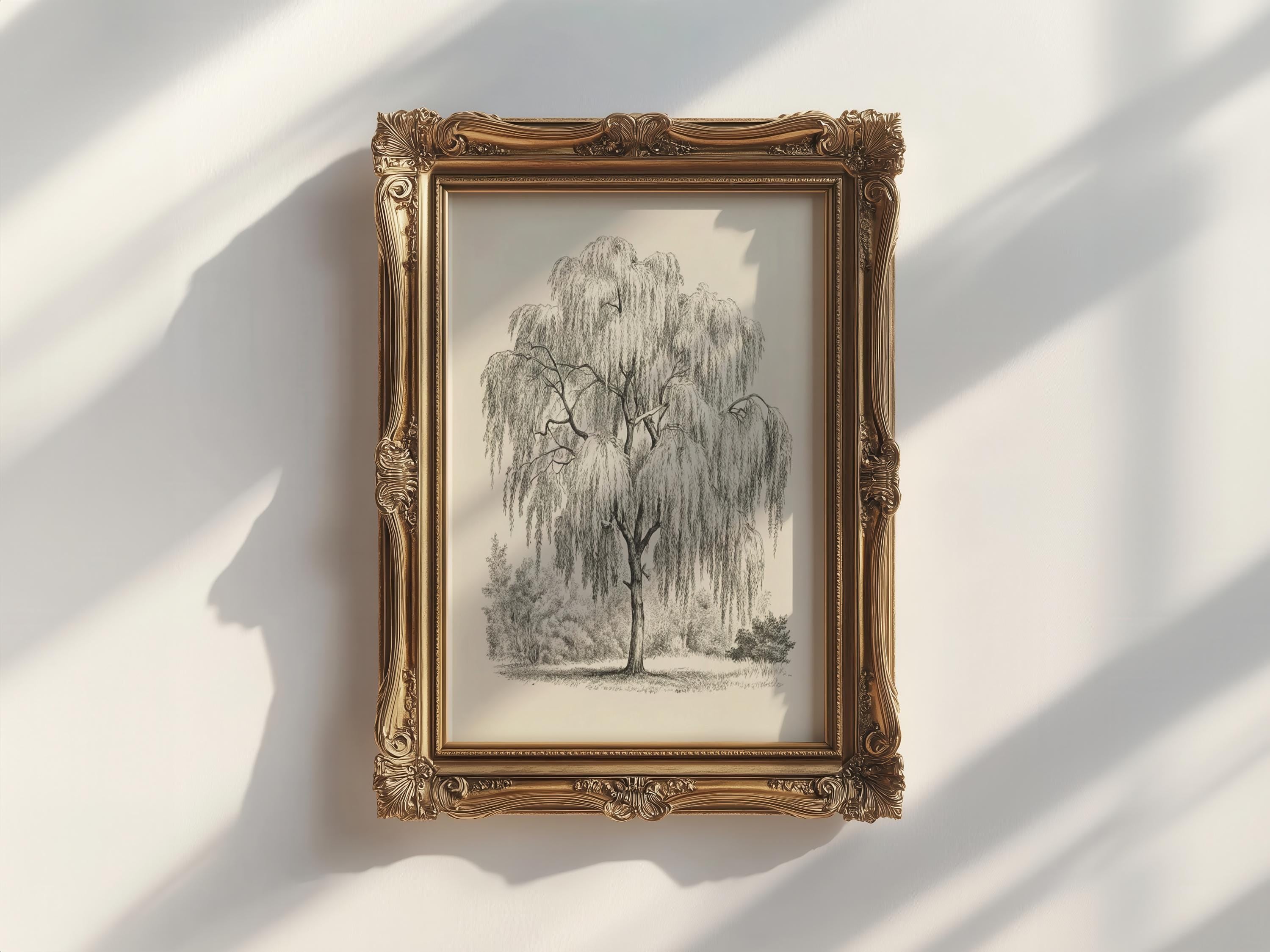 a framed illustration of a willow tree, which is hanging on a white wall.