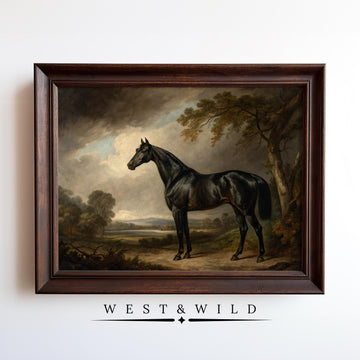 The Black Horse Wall Art – Framed Equestrian Decor features a vintage-style painting of a black horse on a rural path with trees and cloudy skies, plus "WEST & WILD" text—ideal for equestrian or black horse art lovers.