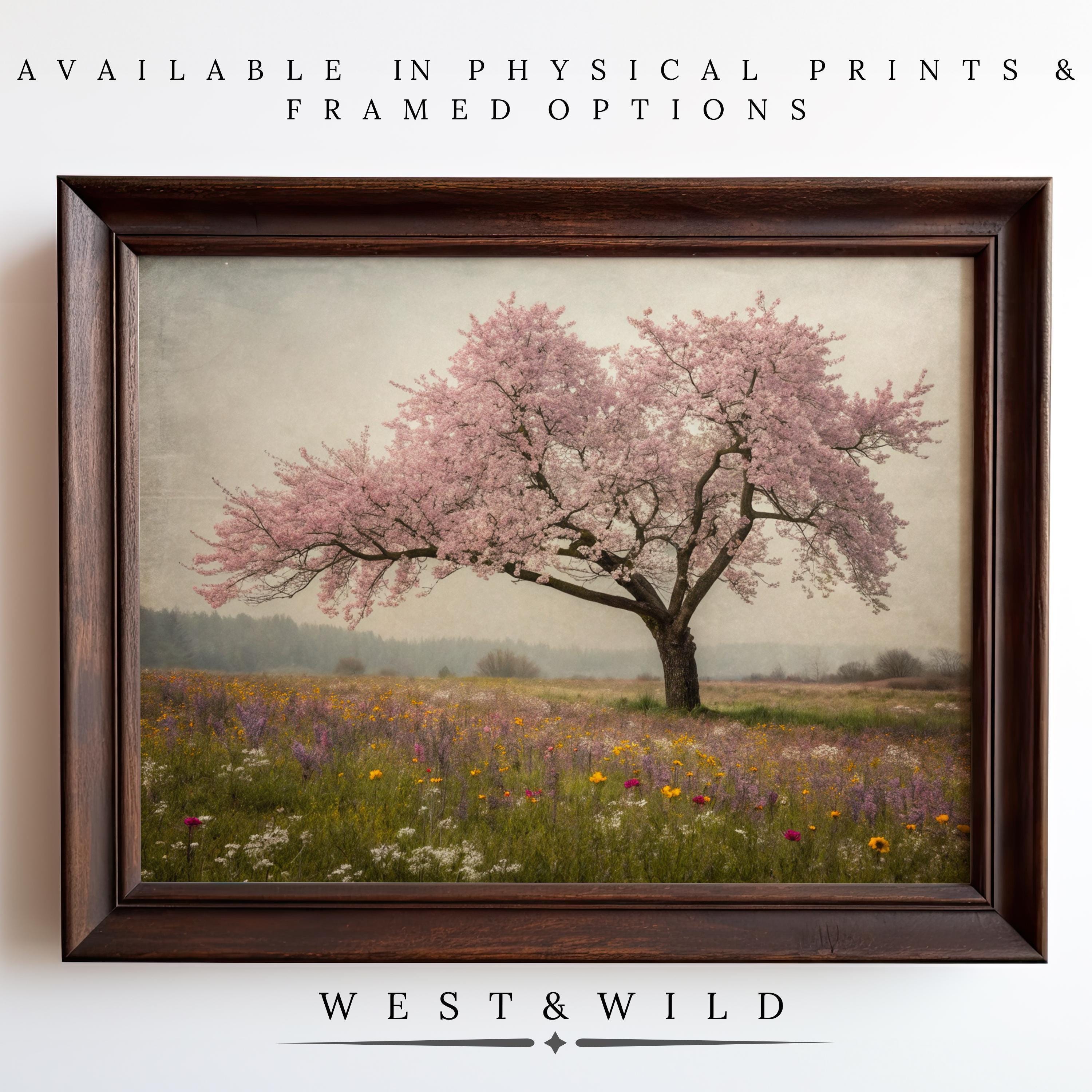 Discover the Cherry Blossom Wall Art – Vintage Floral Prints, featuring a blooming pink cherry blossom tree in a wildflower field. Shop archival quality prints and framed options from the West & Wild Art Archive.