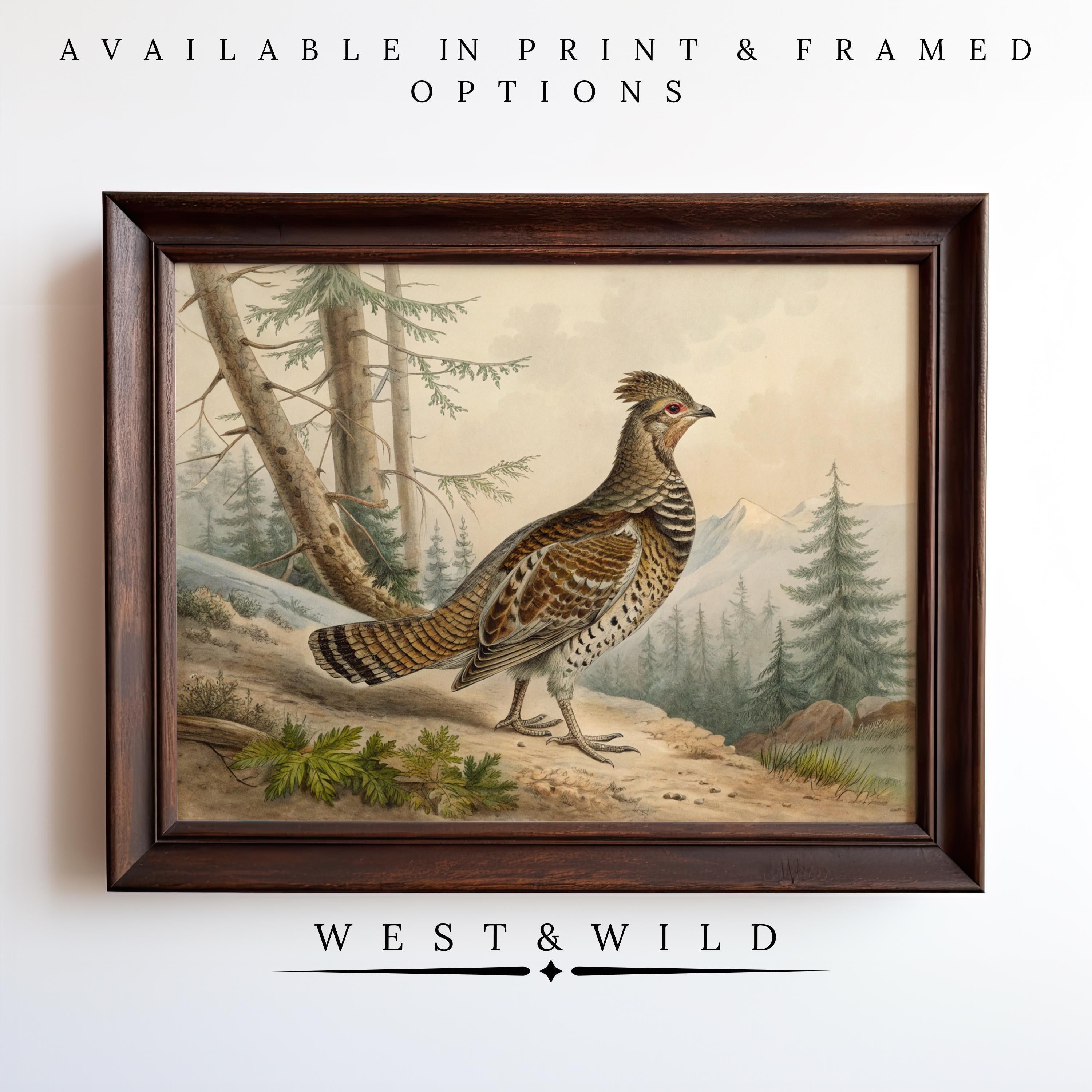 Ruffed Grouse Painting