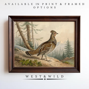 Ruffed Grouse Painting