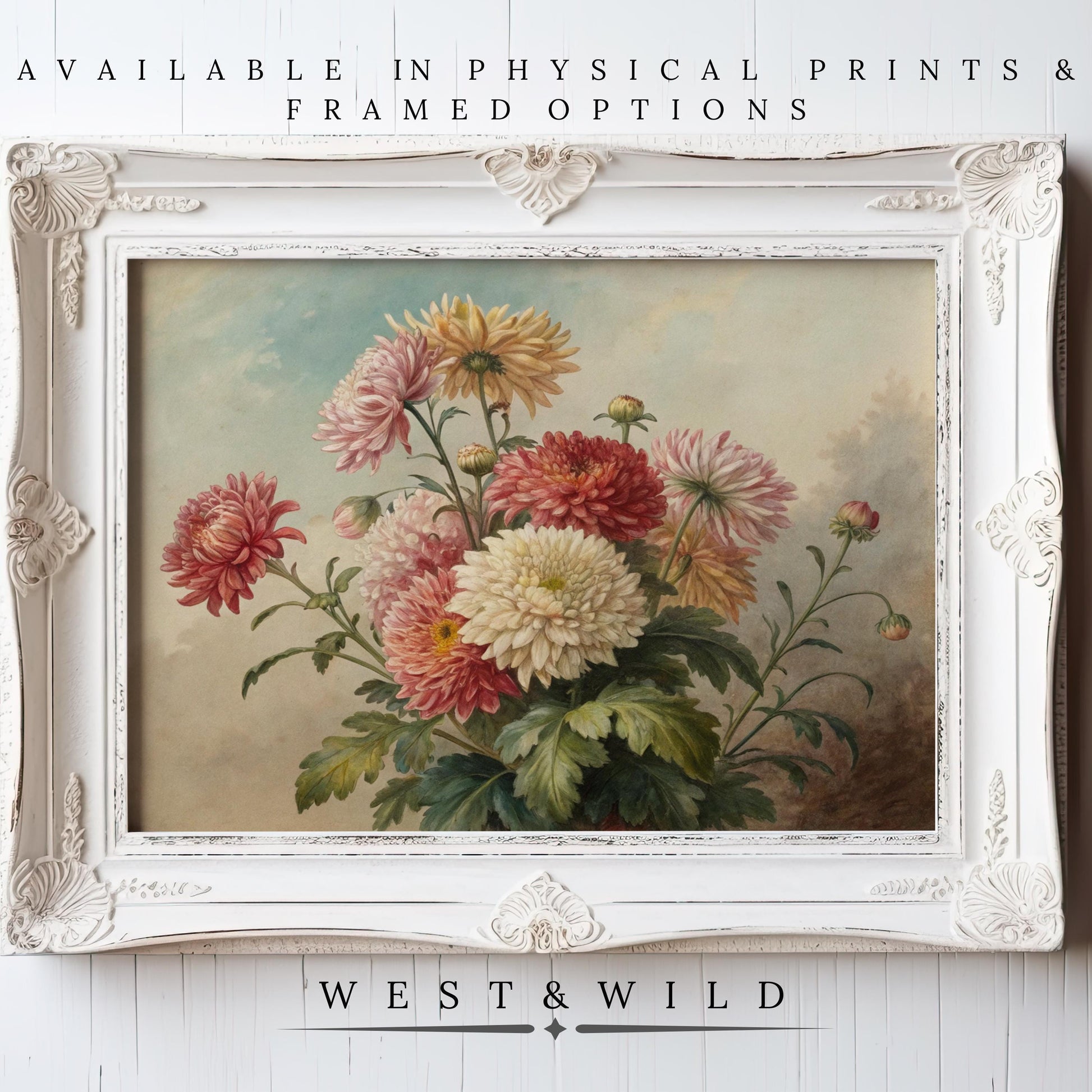 Botanical Wall Art – Vintage Flower Prints in an ornate white frame, featuring pink, red, and yellow chrysanthemums. Archival quality print and framing options from West & Wild Art Archive. Perfect antique-style gift for Mom.