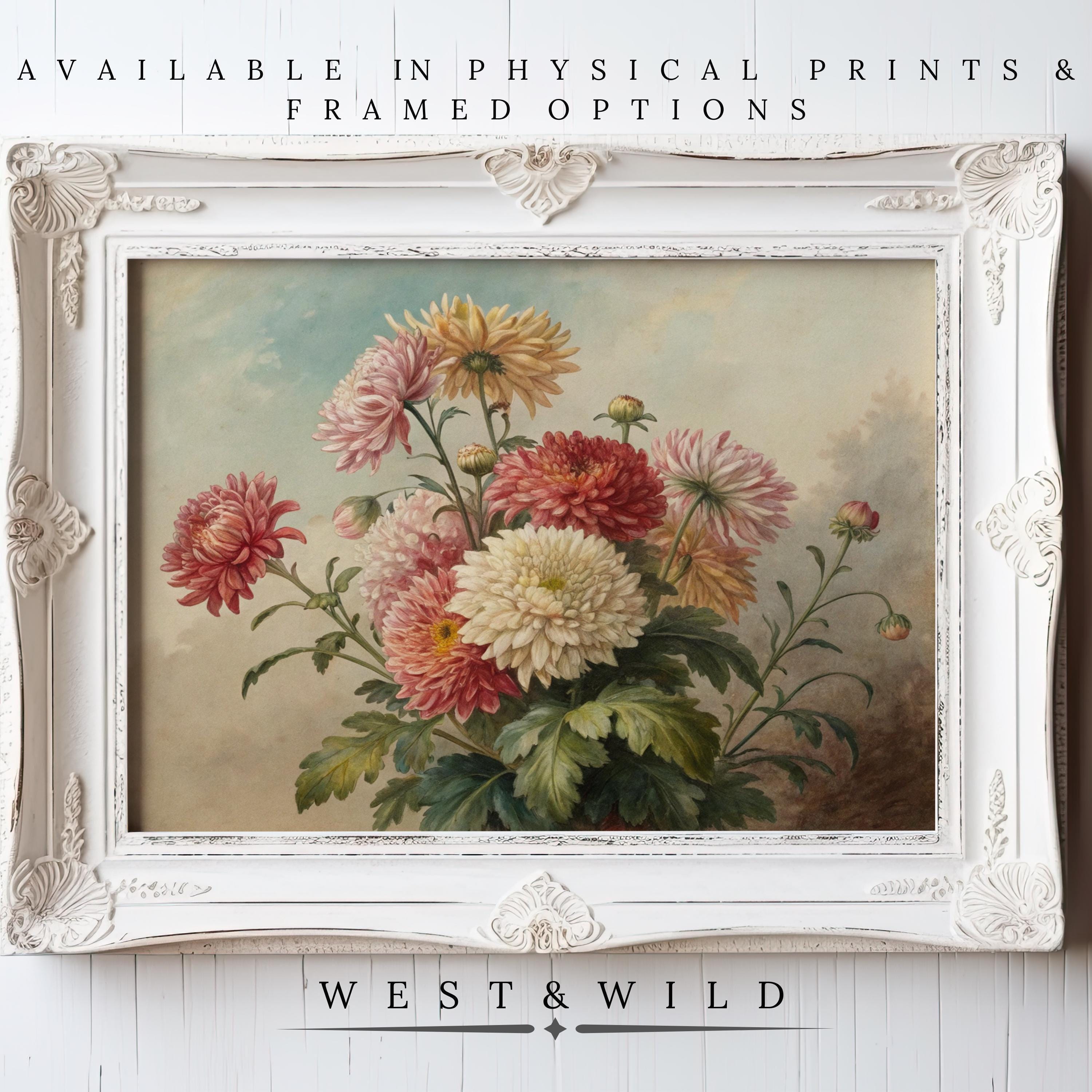 Botanical Wall Art – Vintage Flower Prints in an ornate white frame, featuring pink, red, and yellow chrysanthemums. Archival quality print and framing options from West & Wild Art Archive. Perfect antique-style gift for Mom.