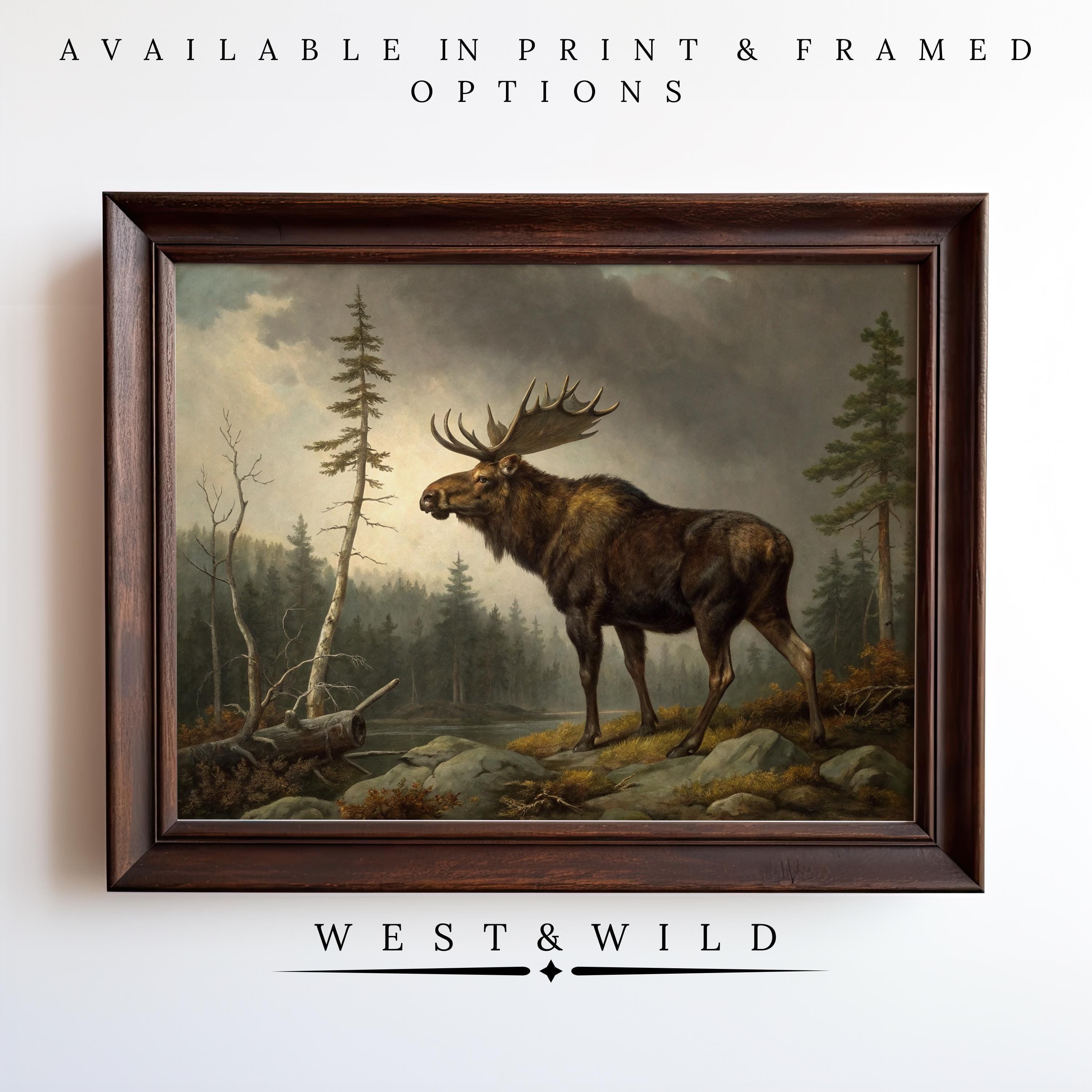 Moose Wall Art – Rustic Forest Painting of a moose on rocky ground by a river, misty trees behind. Available as Vintage Animal Print or Framed Wildlife Decor. Vintage Art Prints & Framed Art by West & Wild.