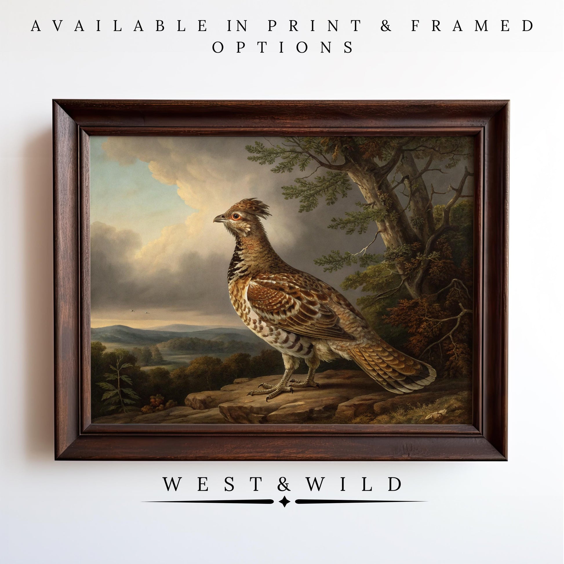 Ruffed Grouse Oil Painting