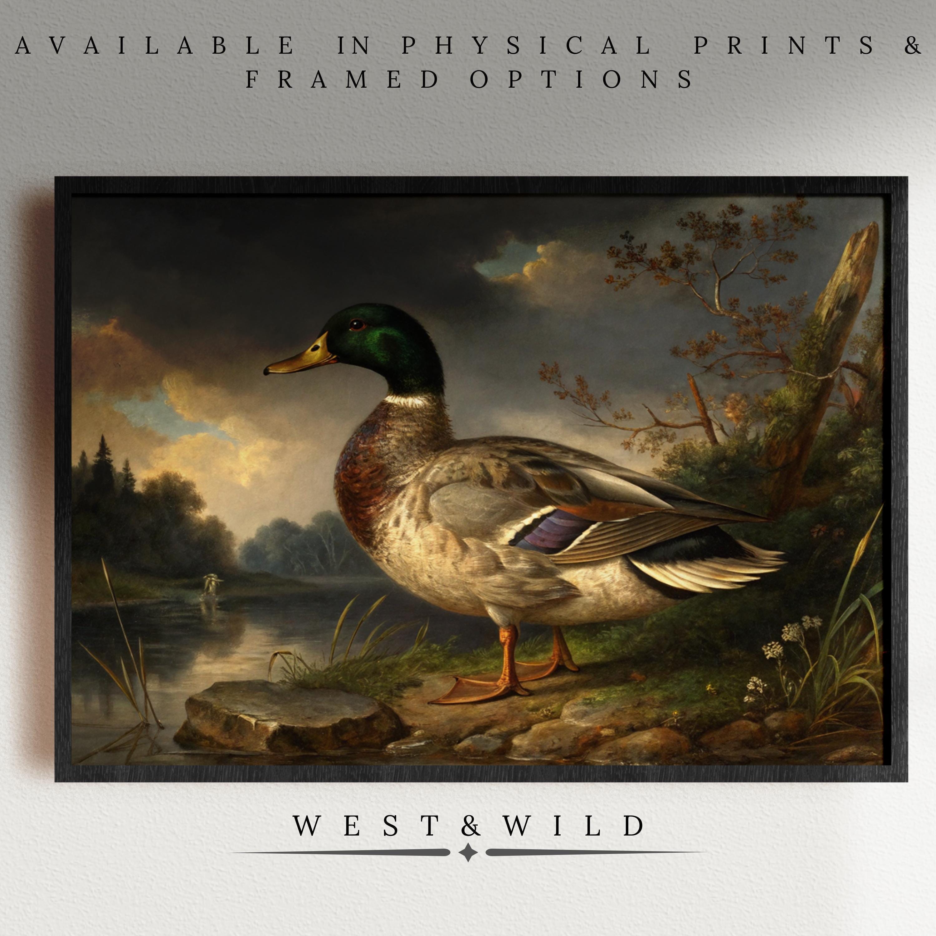 Vintage Mallard Duck | Framed Lake House Art
