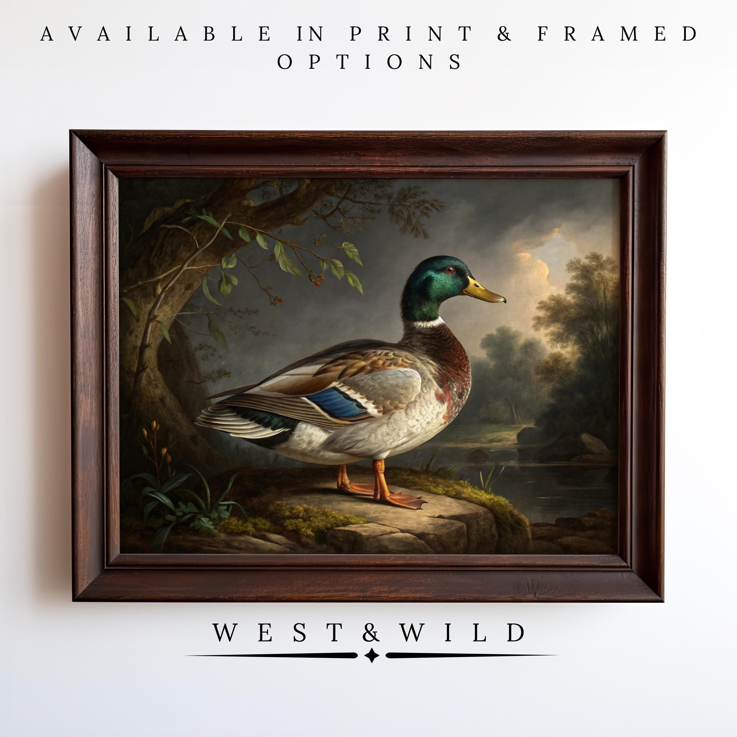 The Vintage Duck Print - Moody Victorian Decor features a mallard on a rock by the water with trees and a cloudy sky. Ideal farmhouse wall art; available as print or framed from West & Wild.