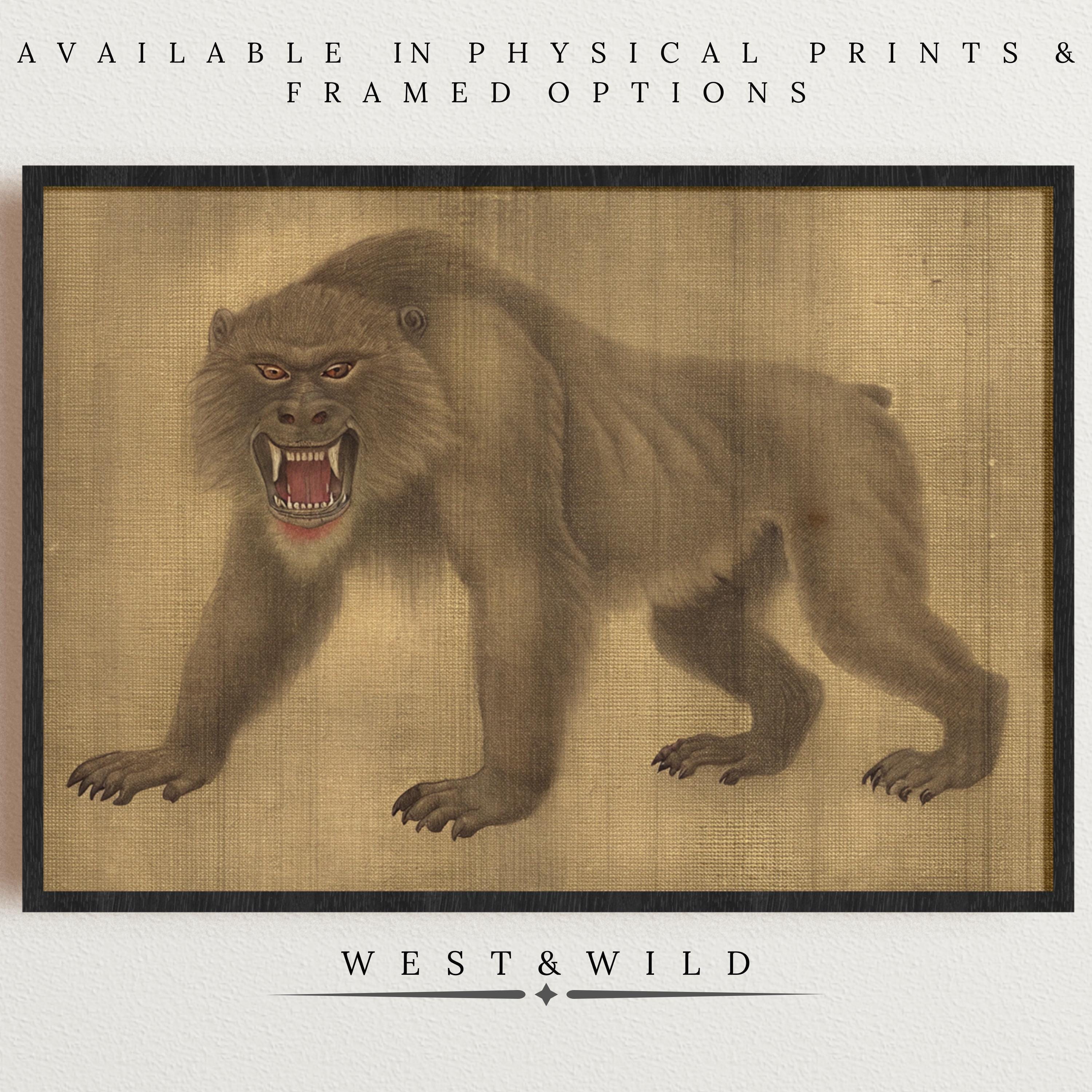 A snarling baboon with sharp teeth is illustrated on a textured tan background, framed in black. Inspired by Japanese folklore, this "Japanese Art Prints - Mythical Baboon Artwork" is available as vintage framed wall decor.