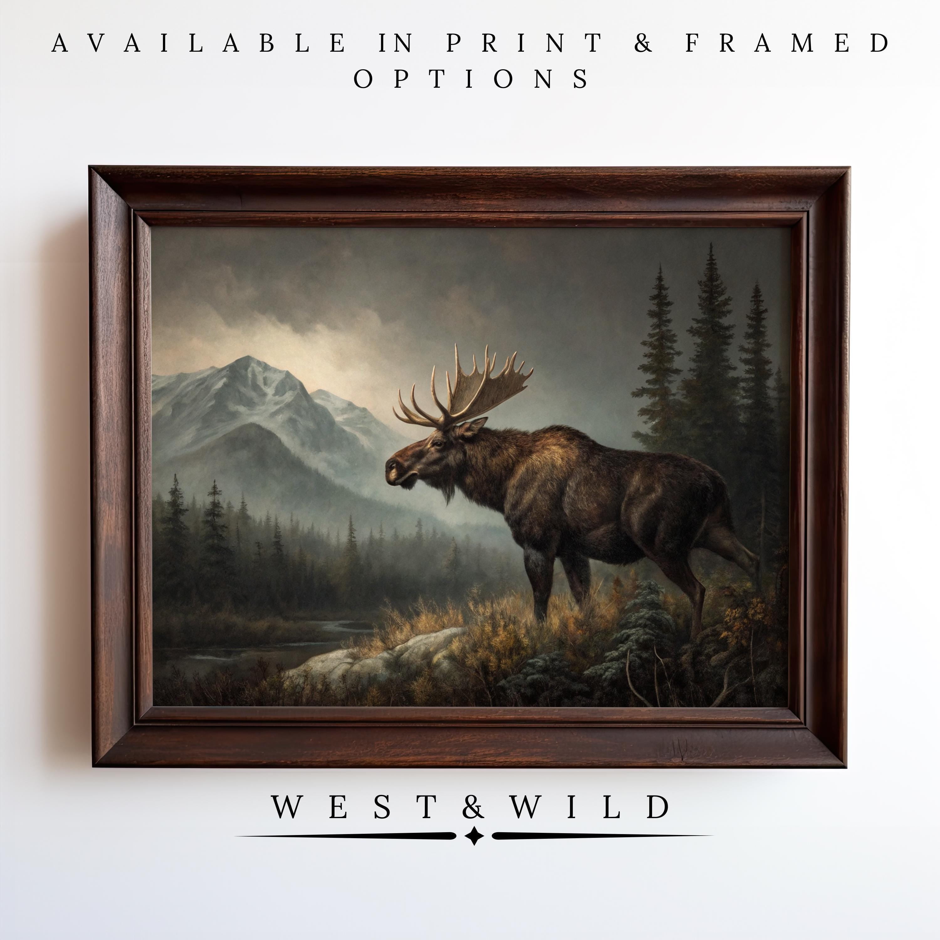A framed, archival-quality Moose Oil Painting – Vintage Wildlife Art | Alaskan Forest Print, Rustic Cabin Decor - Vintage Art Prints & Framed Art, is displayed on a white wall with text: Available in Print & Framed Options, West & Wild Art Archive.