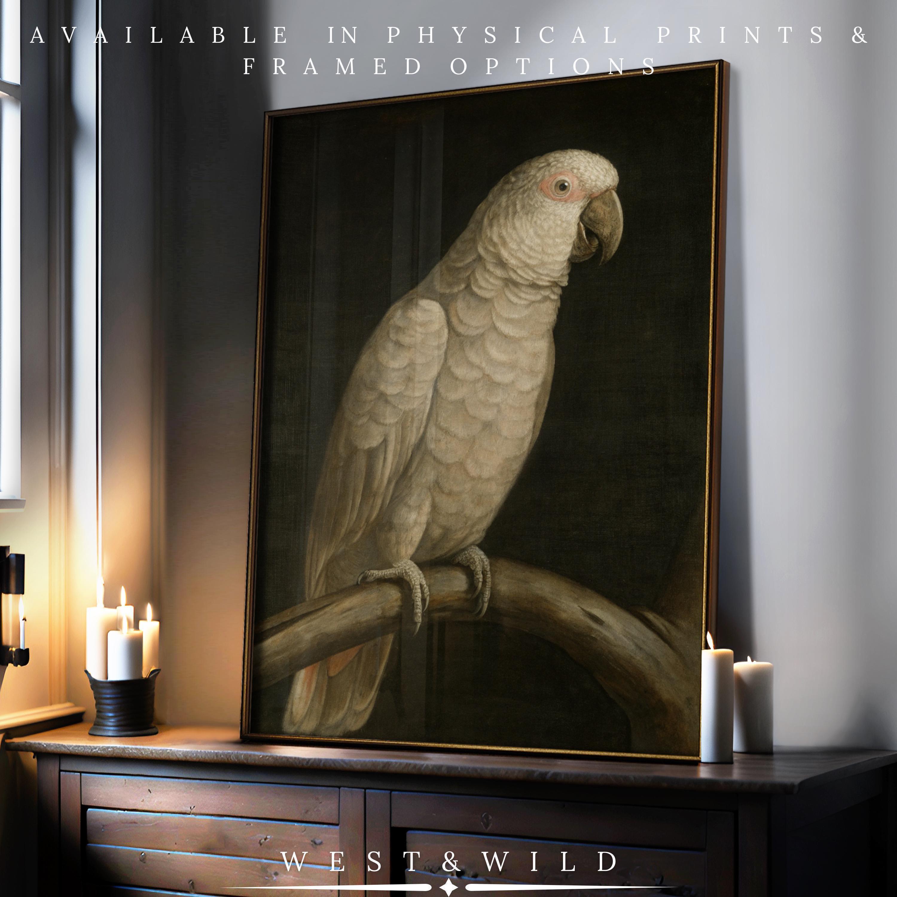 A vintage White Cockatoo Print – Framed Bird Wall Art sits on a dark wooden cabinet beside lit candles in a softly lit room. Available in archival quality prints & framed options; below: West & Wild Art Archive.