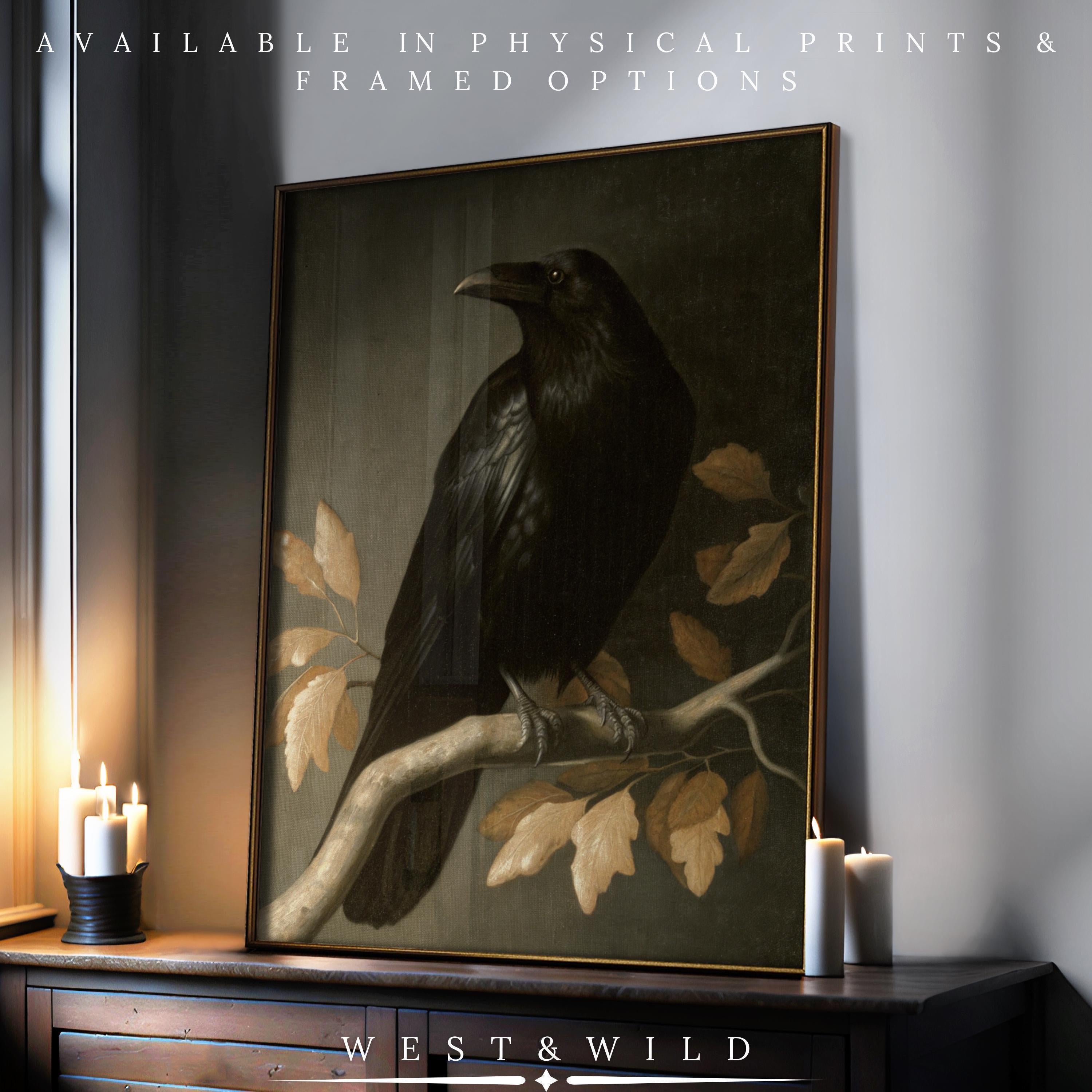 A framed Raven Art Print—vintage ornithology bird wall decor featuring a black crow on a branch with golden leaves near candles. Available as archival quality prints & framed art from West & Wild Vintage Art Prints & Framed Art.