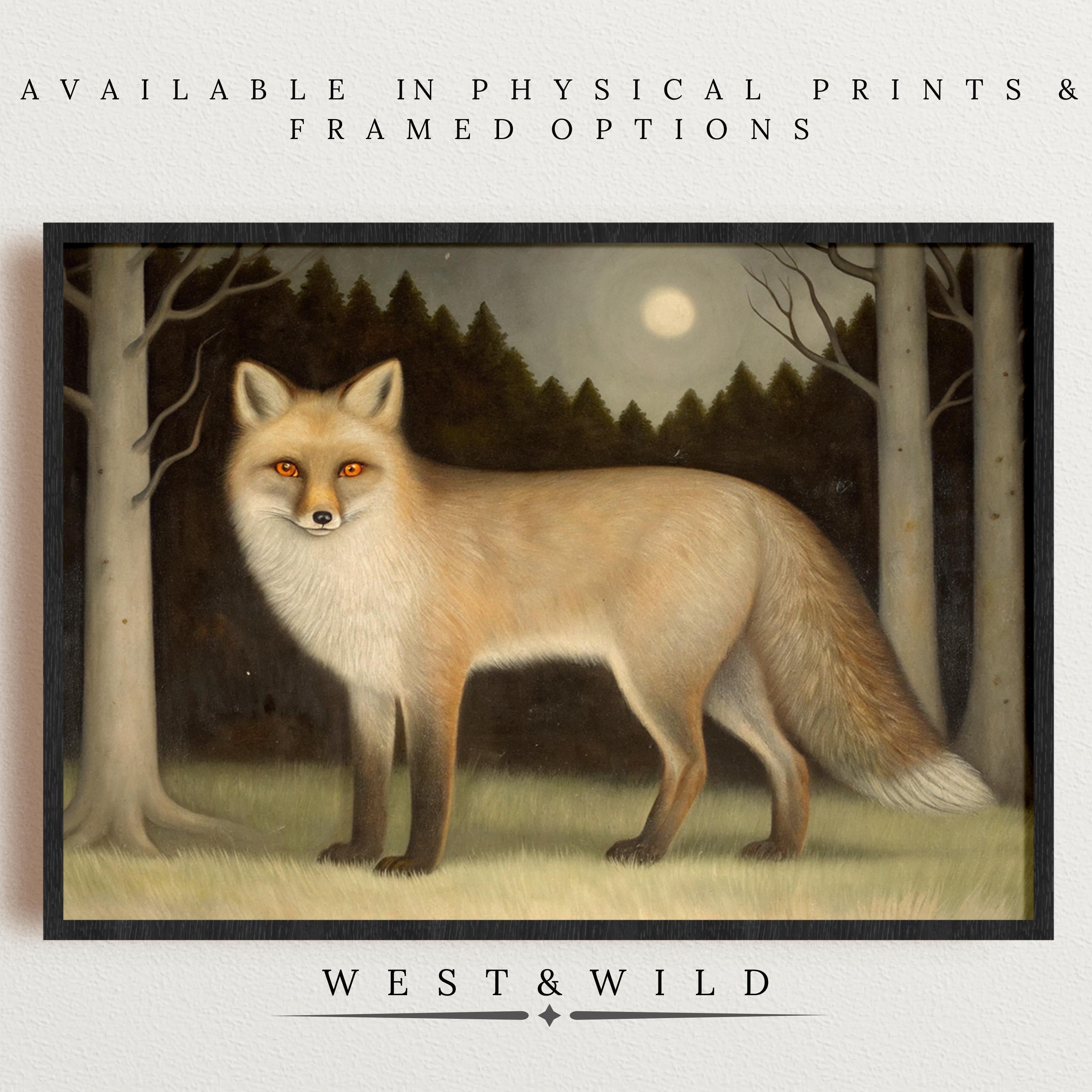 Vintage Fox Art Print - Woodland Animal Illustration: features a red fox with glowing eyes in a moonlit forest, offered as archival quality prints and framed art from the West & Wild Art Archive. Perfect rustic nature wall decor.